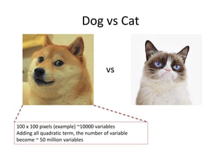 Dog vs Cat
vs
100 x 100 pixels (example) ~10000 variables
Adding all quadratic term, the number of variable
become ~ 50 million variables
 