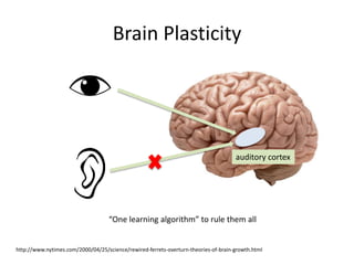 Brain Plasticity
http://www.nytimes.com/2000/04/25/science/rewired-ferrets-overturn-theories-of-brain-growth.html
auditory cortex
“One learning algorithm” to rule them all
 