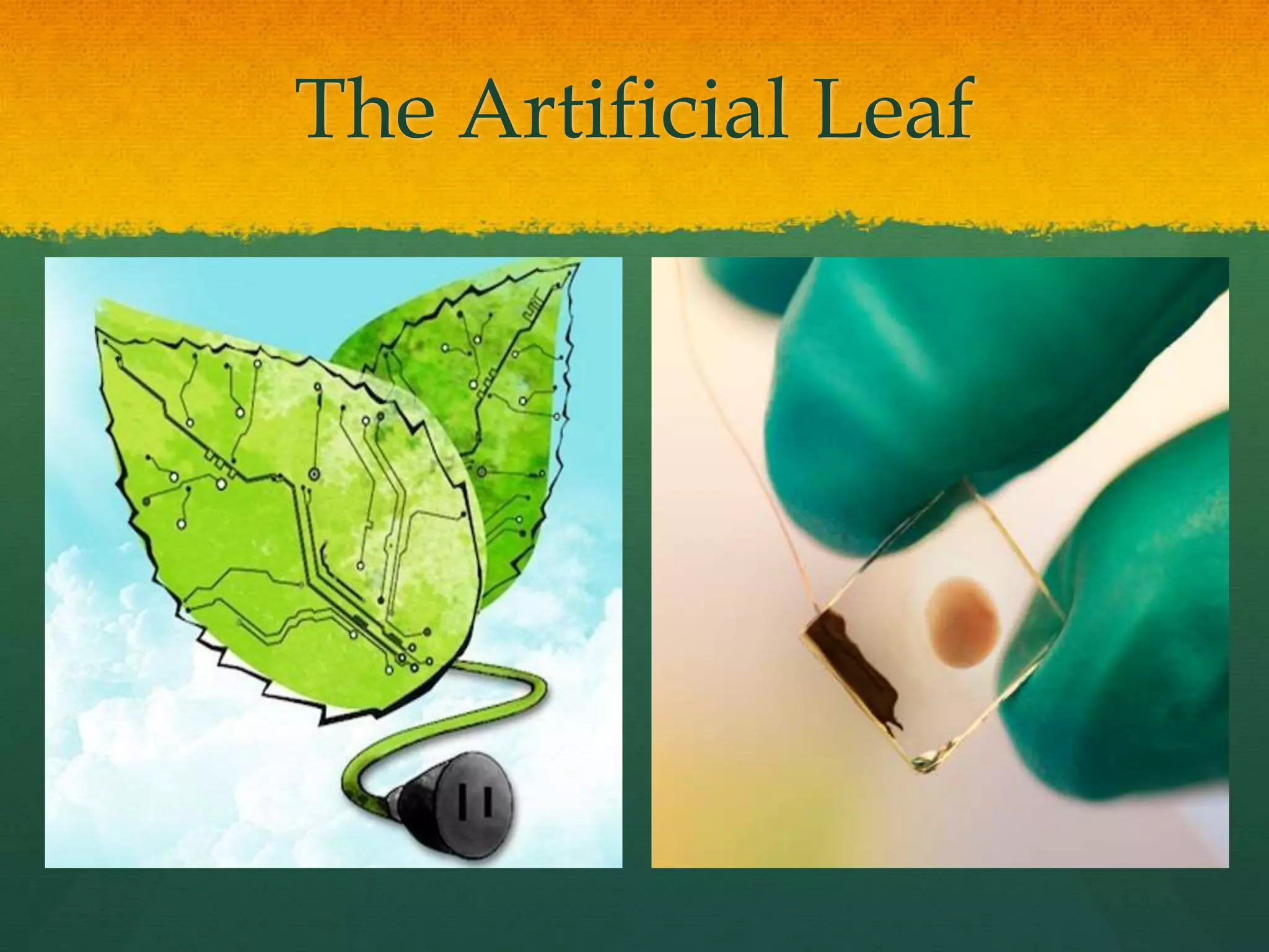 The Artificial Leaf
 