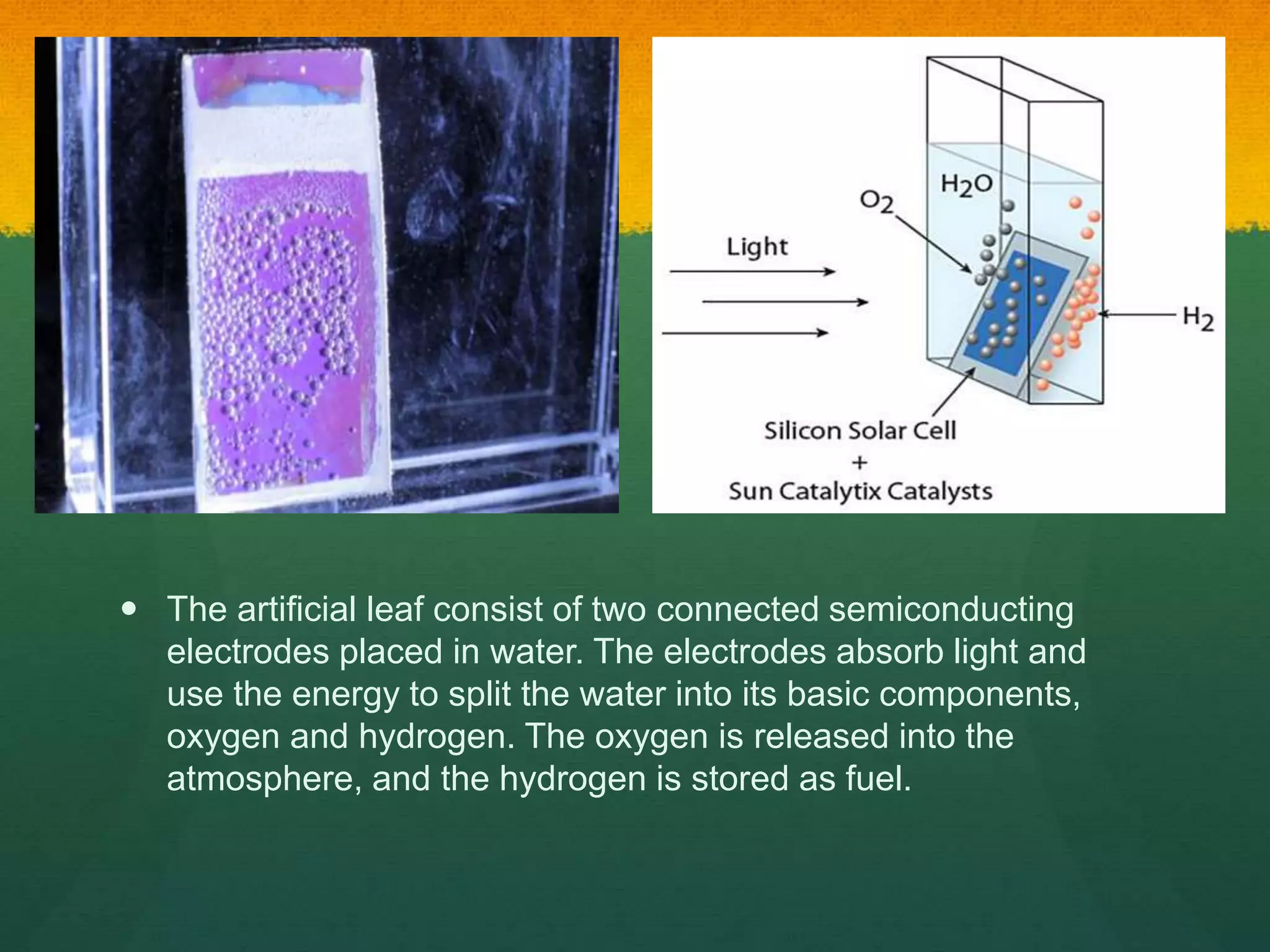  The artificial leaf consist of two connected semiconducting
electrodes placed in water. The electrodes absorb light and
use the energy to split the water into its basic components,
oxygen and hydrogen. The oxygen is released into the
atmosphere, and the hydrogen is stored as fuel.
 