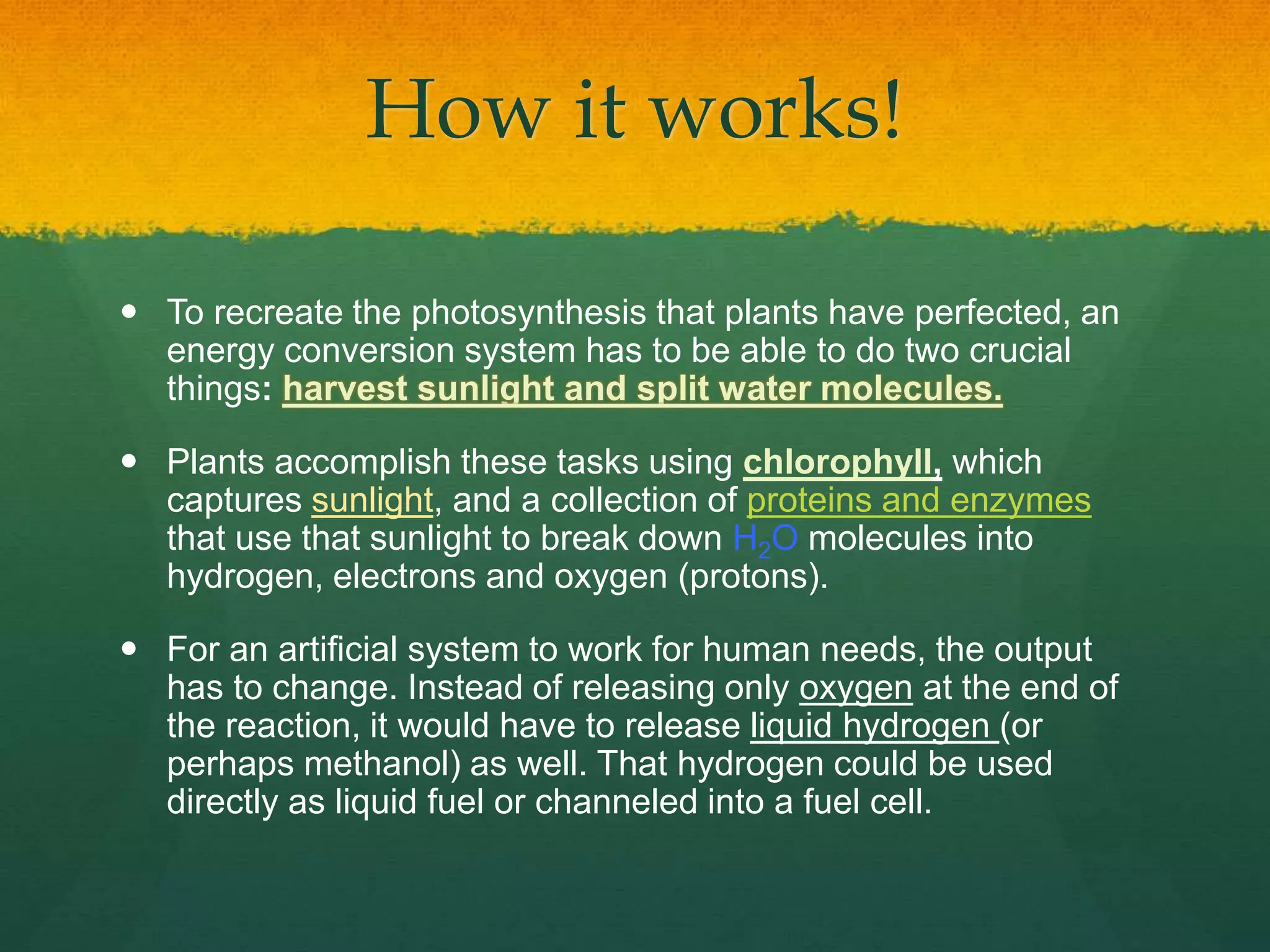 How it works!
 To recreate the photosynthesis that plants have perfected, an
energy conversion system has to be able to do two crucial
things: harvest sunlight and split water molecules.
 Plants accomplish these tasks using chlorophyll, which
captures sunlight, and a collection of proteins and enzymes
that use that sunlight to break down H2O molecules into
hydrogen, electrons and oxygen (protons).
 For an artificial system to work for human needs, the output
has to change. Instead of releasing only oxygen at the end of
the reaction, it would have to release liquid hydrogen (or
perhaps methanol) as well. That hydrogen could be used
directly as liquid fuel or channeled into a fuel cell.
 