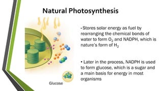 Natural Photosynthesis
• Stores solar energy as fuel by
rearranging the chemical bonds of
water to form O2 and NADPH, which is
nature’s form of H2
• Later in the process, NADPH is used
to form glucose, which is a sugar and
a main basis for energy in most
organisms
Glucose
 