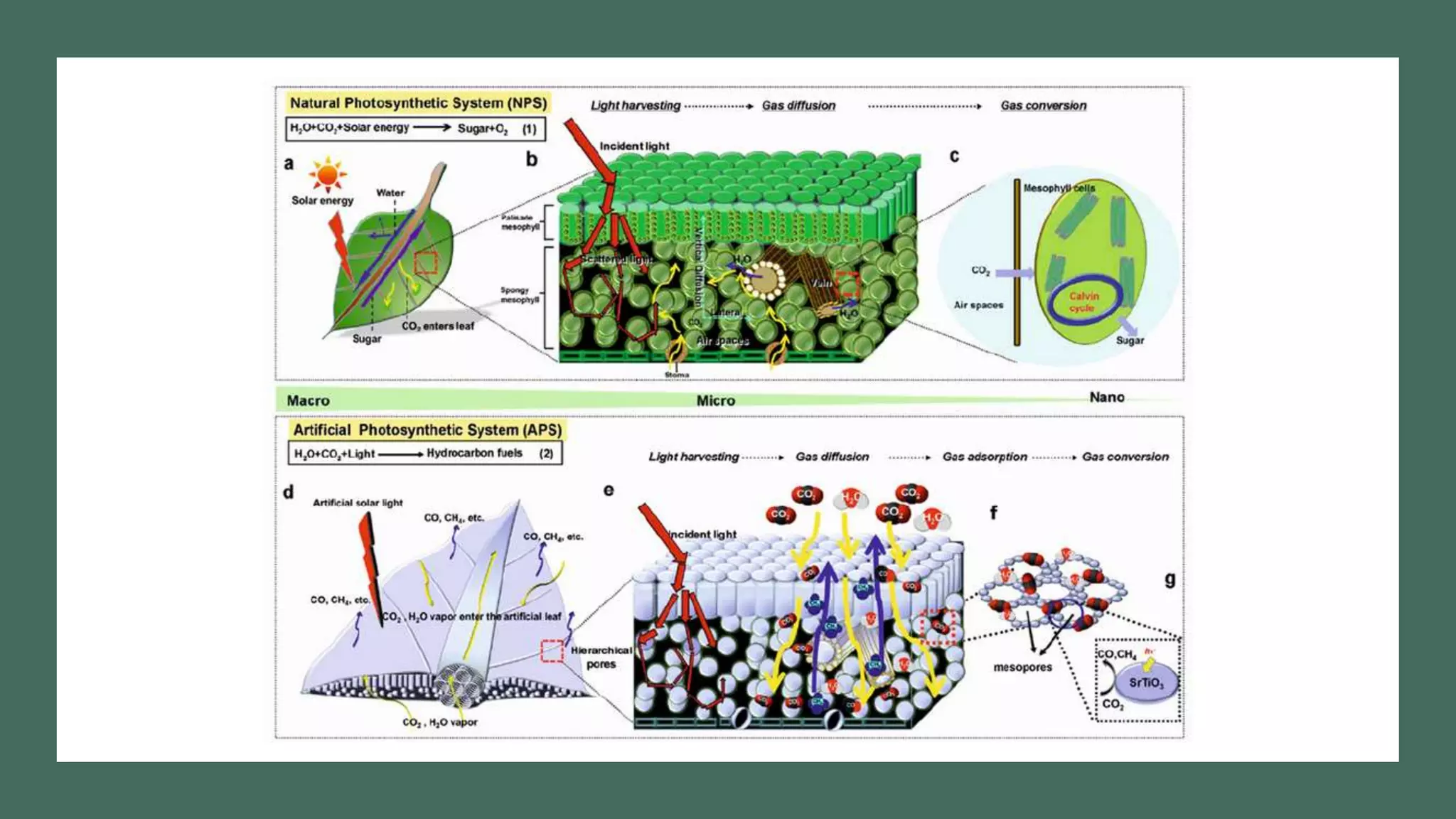 Artificial photosynthesis | PPTX