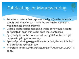 Fabricating or Manufacturing
 Antenna structure that captures the light (similar to a solar
panel), and already coat it with the artificial material that
would replace the chlorophyll.
 Organic photovoltaic mimicking chlorophyll would need to
be “painted” on in thin layers onto these antennas.
 By hydrolysis , in the presence of sun light & water ,we get
oxygen & hydrogen separately.
 Apart of producing oxygen like natural leaf, the artificial leaf
also produces hydrogen too.
 Therefore, in this way manufacturing of “ARTIFICIAL LEAF” is
done.
 