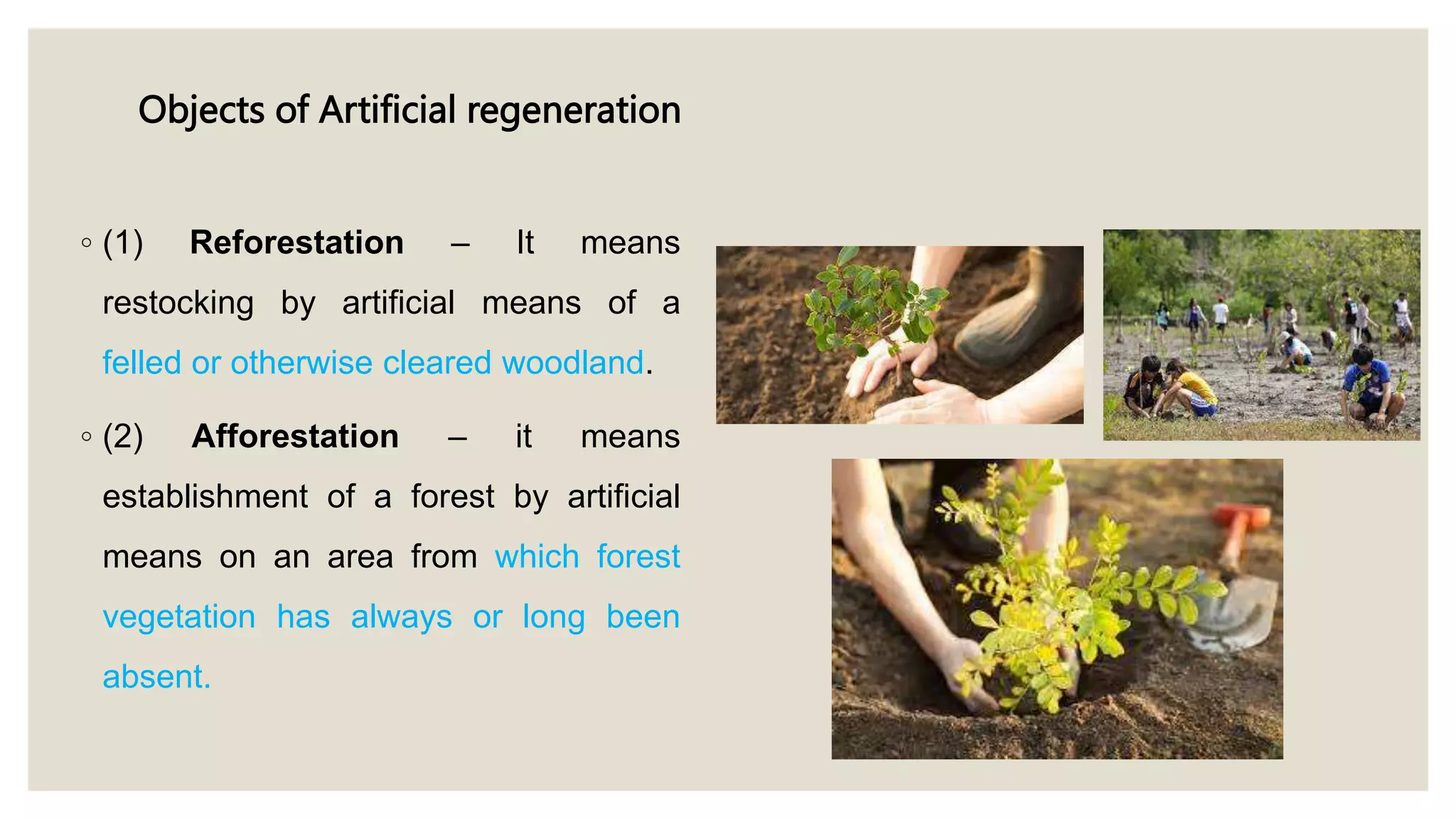 artificial regeneration.pptx