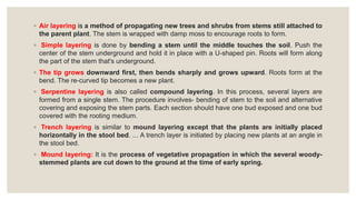 artificial regeneration.pptx