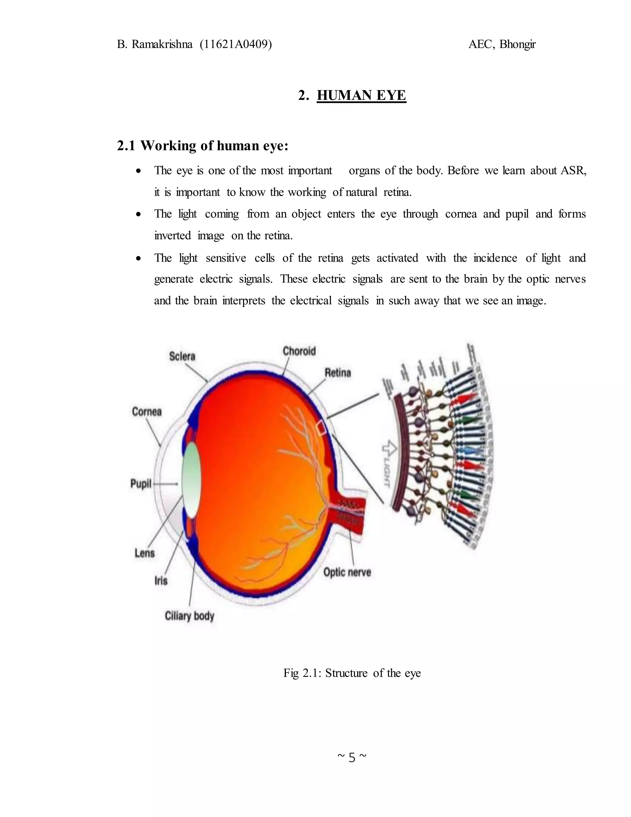 B. Ramakrishna (11621A0409) AEC, Bhongir
~ 5 ~
2. HUMAN EYE
2.1 Working of human eye:
 The eye is one of the most important organs of the body. Before we learn about ASR,
it is important to know the working of natural retina.
 The light coming from an object enters the eye through cornea and pupil and forms
inverted image on the retina.
 The light sensitive cells of the retina gets activated with the incidence of light and
generate electric signals. These electric signals are sent to the brain by the optic nerves
and the brain interprets the electrical signals in such away that we see an image.
Fig 2.1: Structure of the eye
 