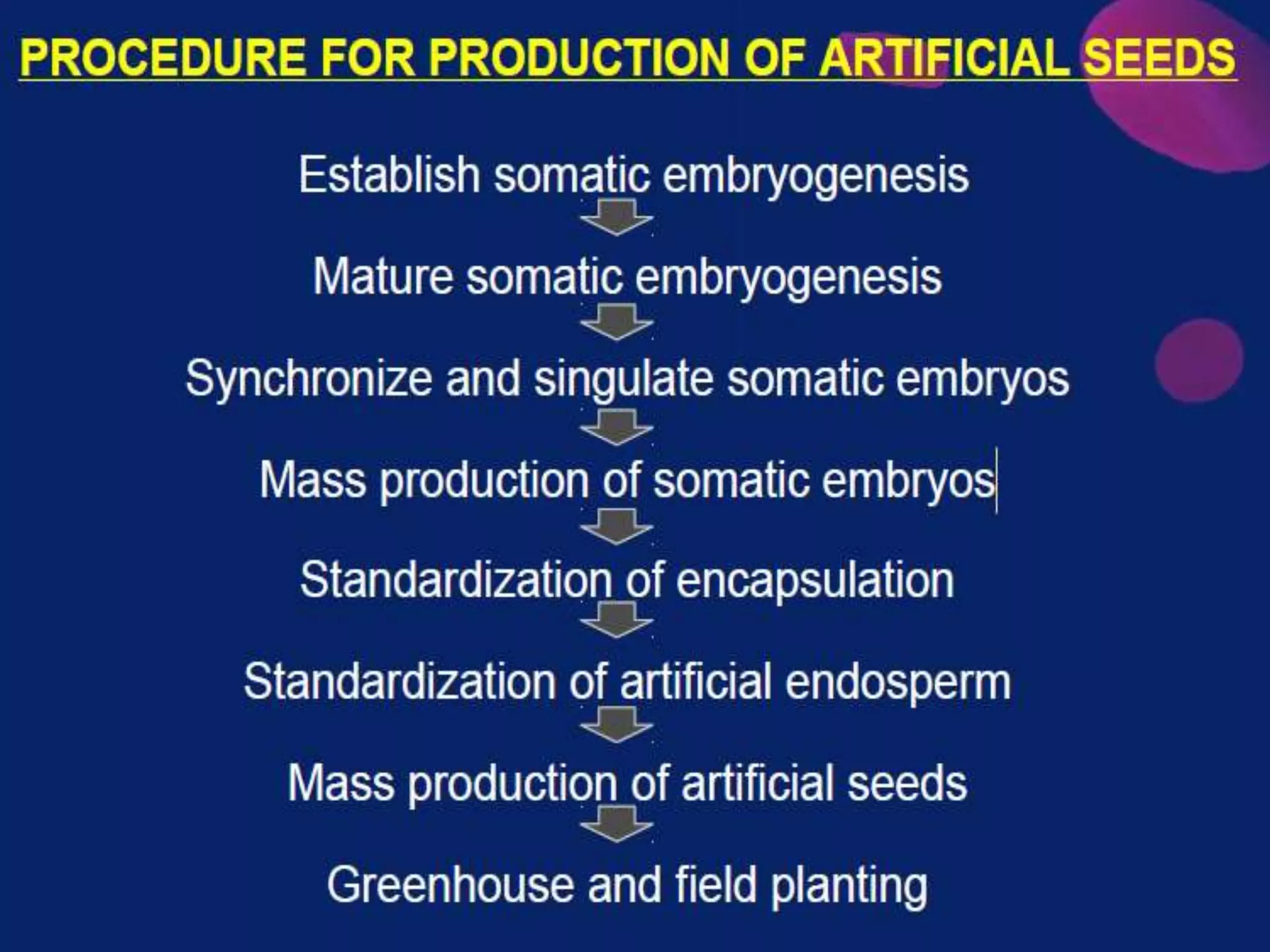 PROCEDURE FOR PRODUCTION OF
ARTIFICIAL SEEDS
 