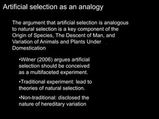 Artificial selection as an analogy
The argument that artificial selection is analogous
to natural selection is a key component of the
Origin of Species, The Descent of Man, and
Variation of Animals and Plants Under
Domestication
•Wilner (2006) argues artificial
selection should be conceived
as a multifaceted experiment.
•Traditional experiment: lead to
theories of natural selection.
•Non-traditional: disclosed the
nature of hereditary variation
 