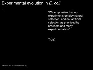 Experimental evolution in E. coli
http://www.msu.edu/~lenski/photoinlab.jpg
“We emphasize that our
experiments employ natural
selection, and not artificial
selection as practiced by
breeders and many
experimentalists”
True?
 