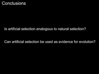 Conclusions
Is artificial selection analogous to natural selection?
Can artificial selection be used as evidence for evolution?
 