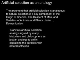 Artificial selection as an analogy
The argument that artificial selection is analogous
to natural selection is a key component of the
Origin of Species, The Descent of Man, and
Variation of Animals and Plants Under
Domestication
•Darwin’s artificial selection
analogy argued by many
historians and philosophers as
just an analogy to aid in
explaining the parallels with
natural selection
 