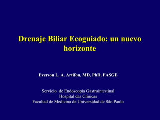 Drenaje Biliar Ecoguiado: un nuevo horizonte Everson L. A. Artifon, MD, PhD, FASGE Servicio  de Endoscopia Gastrointestinal Hospital das Clínicas Facultad de Medicina de Universidad de São Paulo 