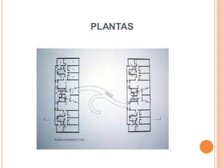 PLANTAS
 