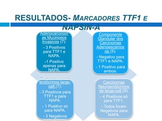 Adenocarcinom
as Mucinosos
Invasivos (7):
- 3 Positivos
para TTF1 e
NAPA.
-1 Positivo
apenas para
NAPA.
Componente
Glandular dos
Carcinomas
Adenoescamos
os (5):
- Negativo para
TTF1 e NAPA.
- 1 Positivo para
ambos.
Carcinomas não-
endócrinos large-
cell (7):
- 3 Positivos para
TTF1 e para
NAPA.
- 1 Positivo só
para NAPA.
- 3 Negativos
Carcinomas
Neuroendócrinos
de large-cell (9):
- 4 Positivos só
para TTF1.
- Todos foram
Negativos para
NAPA.
RESULTADOS- MARCADORES TTF1 E
NAPSIN-A
 