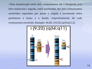 14
• Uma translocação entre dois cromossomos, tal, é designada pela
letra minúscula t seguida, entre parênteses, dos dois cromossomos
envolvidos separados por ponto e vírgula e novamente entre
parênteses o braço e a banda, respectivamente, de cada
cromossomo envolvido. Exemplo: 46,XX, t (9;22) (q34;q11.2).
 