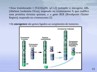 15
• Essa translocação t (9;22)(q34; q11.2) justapõe o oncogene ABL
(Abelson Leukemia Vírus), mapeado no cromossomo 9, que codifica
uma proteína tirosina quinase, e o gene BCR (Breakpoint Cluster
Region), mapeado no cromossomo 22.
• Os oncogenes são genes ligados ao surgimento de tumores.
 