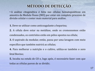 17
• A análise citogenética é feita nas células hematopoiéticas em
amostra da Medula Óssea (MO) por estar em completo processo de
divisão celular e conter mais material para análise.
1. Deve-se utilizar como anticoagulante a heparina;
2. A célula deve estar na metáfase, onde os cromossomos estão
condensados, os centríolos estão em pólos opostos na célula;
3. O aspirado da medular, então, passa por uma lavagem com meio
específico que também nutrirá as células;
4. Para melhorar a nutrição e o cultivo, utiliza-se também o soro
fetal Bovino;
5. Incuba na estufa de CO e, logo após, é necessário fazer com que
todas as células parem de se dividir;
MÉTODO DE DETECÇÃO
 