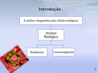 Introdução
3
A análise citogenética das células malignas:
Avanço
Biológico
Neoplasias Leucemogênese
 