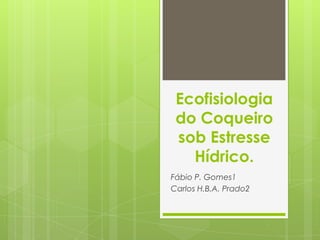 Ecofisiologia
do Coqueiro
sob Estresse
Hídrico.
Fábio P. Gomes1
Carlos H.B.A. Prado2
 