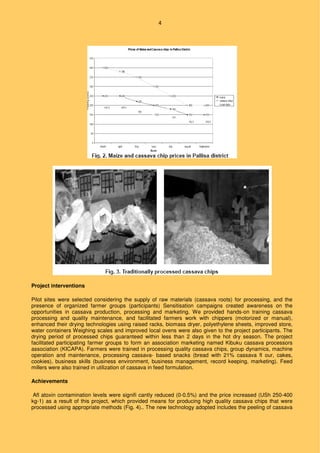 4
Project interventions
Pilot sites were selected considering the supply of raw materials (cassava roots) for processing, and the
presence of organized farmer groups (participants) Sensitisation campaigns created awareness on the
opportunities in cassava production, processing and marketing. We provided hands-on training cassava
processing and quality maintenance, and facilitated farmers work with chippers (motorized or manual),
enhanced their drying technologies using raised racks, biomass dryer, polyethylene sheets, improved store,
water containers Weighing scales and improved local ovens were also given to the project participants. The
drying period of processed chips guaranteed within less than 2 days in the hot dry season. The project
facilitated participating farmer groups to form an association marketing named Kibuku cassava processors
association (KICAPA). Farmers were trained in processing quality cassava chips, group dynamics, machine
operation and maintenance, processing cassava- based snacks (bread with 21% cassava fl our, cakes,
cookies), business skills (business environment, business management, record keeping, marketing). Feed
millers were also trained in utilization of cassava in feed formulation.
Achievements
Afl atoxin contamination levels were signifi cantly reduced (0-0.5%) and the price increased (USh 250-400
kg-1) as a result of this project, which provided means for producing high quality cassava chips that were
processed using appropriate methods (Fig. 4).. The new technology adopted includes the peeling of cassava
 