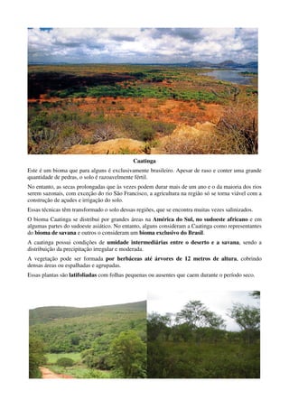 Caatinga
Este é um bioma que para alguns é exclusivamente brasileiro. Apesar de raso e conter uma grande
quantidade de pedras, o solo é razoavelmente fértil.
No entanto, as secas prolongadas que às vezes podem durar mais de um ano e o da maioria dos rios
serem sazonais, com exceção do rio São Francisco, a agricultura na região só se torna viável com a
construção de açudes e irrigação do solo.
Essas técnicas têm transformado o solo dessas regiões, que se encontra muitas vezes salinizados.
O bioma Caatinga se distribui por grandes áreas na América do Sul, no sudoeste africano e em
algumas partes do sudoeste asiático. No entanto, alguns consideram a Caatinga como representantes
do bioma de savana e outros o consideram um bioma exclusivo do Brasil.
A caatinga possui condições de umidade intermediárias entre o deserto e a savana, sendo a
distribuição da precipitação irregular e moderada.
A vegetação pode ser formada por herbáceas até árvores de 12 metros de altura, cobrindo
densas áreas ou espalhadas e agrupadas.
Essas plantas são latifoliadas com folhas pequenas ou ausentes que caem durante o período seco.
 