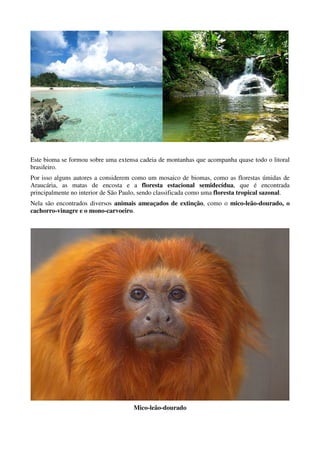 Este bioma se formou sobre uma extensa cadeia de montanhas que acompanha quase todo o litoral
brasileiro.
Por isso alguns autores a considerem como um mosaico de biomas, como as florestas úmidas de
Araucária, as matas de encosta e a floresta estacional semidecídua, que é encontrada
principalmente no interior de São Paulo, sendo classificada como uma floresta tropical sazonal.
Nela são encontrados diversos animais ameaçados de extinção, como o mico-leão-dourado, o
cachorro-vinagre e o mono-carvoeiro.




                                     Mico-leão-dourado
 