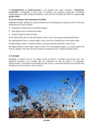 O muriqui-do-sul ou mono-carvoeiro é um primata cujo nome científico é Brachyteles
arachnoides. Considerado o maior entre os primatas do continente americano, encontrado
originariamente na Mata Atlântica brasileira, consta da Lista Vermelha da UICN na categoria Em
perigo crítico.
É um dos primatas mais ameaçados do mundo.
Endêmico da Mata Atlântica do sudeste do Brasil (do sul da Bahia até o Paraná), sofre os efeitos do
antropismo por várias vertentes:
•   destruição da floresta que é seu habitat original
•   caça ilegal na áreas estatais preservadas
•   comércio ilegal em áreas privadas
É um animal dócil, de cor clara, pêlo longo e macio, e tem a face negra contornada de branco.
De cauda preênsil, braços e pernas longos e finos, gosta de sa balançar nas árvores pela cauda.
O adulto chega a medir 1,5 metro de altura e com uma cauda de um metro, e pesa 15 kg.
De hábitos diurnos, come folhas, frutas e flores. Vive em pequenos grupos, no estrato superior da
floresta, chegam a dar saltos de até dez metros na copa das árvores. Dorme boa parte do dia.


3. Cerrado
Ocupando 2 milhões de km2 na região central do Brasil, o Cerrado caracteriza-se por suas
diferentes paisagens, com variados tipos de vegetação, de solo, de clima e de topografia.
Genericamente, corresponde às formações do tipo savana; é um bioma tropical com estações bem
definidas de seca (inverno) e chuvas (verão).




                                                cerrado
 