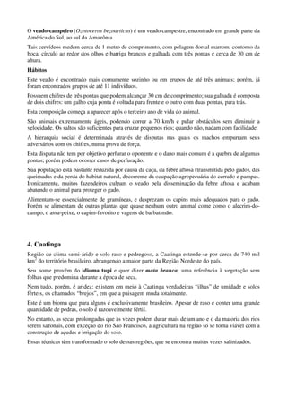 O veado-campeiro (Ozotoceros bezoarticus) é um veado campestre, encontrado em grande parte da
América do Sul, ao sul da Amazônia.
Tais cervídeos medem cerca de 1 metro de comprimento, com pelagem dorsal marrom, contorno da
boca, círculo ao redor dos olhos e barriga brancos e galhada com três pontas e cerca de 30 cm de
altura.
Hábitos
Este veado é encontrado mais comumente sozinho ou em grupos de até três animais; porém, já
foram encontrados grupos de até 11 indivíduos.
Possuem chifres de três pontas que podem alcançar 30 cm de comprimento; sua galhada é composta
de dois chifres: um galho cuja ponta é voltada para frente e o outro com duas pontas, para trás.
Esta composição começa a aparecer após o terceiro ano de vida do animal.
São animais extremamente ágeis, podendo correr a 70 km/h e pular obstáculos sem diminuir a
velocidade. Os saltos são suficientes para cruzar pequenos rios; quando não, nadam com facilidade.
A hierarquia social é determinada através de disputas nas quais os machos empurram seus
adversários com os chifres, numa prova de força.
Esta disputa não tem por objetivo perfurar o oponente e o dano mais comum é a quebra de algumas
pontas; porém podem ocorrer casos de perfuração.
Sua população está bastante reduzida por causa da caça, da febre aftosa (transmitida pelo gado), das
queimadas e da perda do habitat natural, decorrente da ocupação agropecuária do cerrado e pampas.
Ironicamente, muitos fazendeiros culpam o veado pela disseminação da febre aftosa e acabam
abatendo o animal para proteger o gado.
Alimentam-se essencialmente de gramíneas, e desprezam os capins mais adequados para o gado.
Porém se alimentam de outras plantas que quase nenhum outro animal come como o alecrim-do-
campo, o assa-peixe, o capim-favorito e vagens de barbatimão.




4. Caatinga
Região de clima semi-árido e solo raso e pedregoso, a Caatinga estende-se por cerca de 740 mil
km2 do território brasileiro, abrangendo a maior parte da Região Nordeste do país.
Seu nome provém do idioma tupi e quer dizer mata branca, uma referência à vegetação sem
folhas que predomina durante a época de seca.
Nem tudo, porém, é aridez: existem em meio à Caatinga verdadeiras “ilhas” de umidade e solos
férteis, os chamados “brejos”, em que a paisagem muda totalmente.
Este é um bioma que para alguns é exclusivamente brasileiro. Apesar de raso e conter uma grande
quantidade de pedras, o solo é razoavelmente fértil.
No entanto, as secas prolongadas que às vezes podem durar mais de um ano e o da maioria dos rios
serem sazonais, com exceção do rio São Francisco, a agricultura na região só se torna viável com a
construção de açudes e irrigação do solo.
Essas técnicas têm transformado o solo dessas regiões, que se encontra muitas vezes salinizados.
 