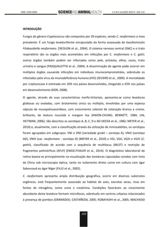 103
0000 ISSN: 2318-356X V.2 N.2 JUL/DEZ 2014 P. 102-114
INTRODUÇÃO
Fungos do gênero Cryptococcus são compostos por 39 espécies, sendo C. neoformans o mais
prevalente. É um fungo leveduriforme encapsulado da forma assexuada do basidiomiceto
Filobasidiella neoformans (REOLON et al., 2004). O sistema nervoso central (SNC) e o trato
respiratório são os órgãos mais acometidos em infecções por C. neoformans e C. gatti;
outros órgãos também podem ser infectados como pele, próstata, olhos, ossos, trato
urinário e sangue (PASQUALOTTO et al., 2004). A disseminação do agente pode ocorrer em
múltiplos órgãos causando infecções em indivíduos imunocomprometidos, sobretudo os
infectados pelo vírus da imunodeficiência humana (HIV) (SEVERO et al., 2009). A mortalidade
por criptococose é estimada em 10% nos países desenvolvidos, chegando a 43% nos países
em desenvolvimento (KON, 2008).
O agente, através de suas características morfo-tintoriais, apresenta-se como leveduras
globosas ou ovaladas, com brotamento único ou múltiplo, envolvidas por uma espessa
cápsula de mucopolissacarídeos, com crescimento colonial de coloração branca a creme,
brilhante, de textura mucoide e margem lisa (KWON-CHUNG; BENNETT, 1984; LIN;
HEITMAN, 2006). São descritos os sorotipos A, B, C, D e AD (IKEDA et al., 1982; MEYER et al.,
2010) e, atualmente, com a classificação através da utilização de minissatélites, os sorotipos
foram agrupados em subgrupos: VNI e VNII (variedade grubii – sorotipo A), VNIII (sorotipo
AD), VNIV (var. neoformans - sorotipo D) (MEYER et al., 2010) e VGI, VGII, VGIII e VGIV (C.
gattii), classificado de acordo com a sequência de multilocus (MLST) e restrição de
fragmentos polimórficos (AFLP) (ENGELTHALER et al., 2014). O diagnóstico laboratorial de
rotina baseia-se principalmente na visualização das leveduras capsuladas coradas com tinta
da China sob microscopia óptica, tanto no isolamento direto como em cultura com ágar
Sabouraud ou ágar Níger (FILIÚ et al., 2002).
C. neoformans apresenta ampla distribuição geográfica, ocorre em diversos substratos
orgânicos, está frequentemente associado ao habitat de aves, excretas secas, ricas em
fontes de nitrogênio, como ureia e creatinina. Condições favoráveis ao crescimento
abundante desta levedura formam microfocos, sobretudo em centros urbanos relacionados
à presença de pombos (GRANADOS; CASTAÑEDA, 2005; KOBAYASHI et al., 2005; MACHADO
 