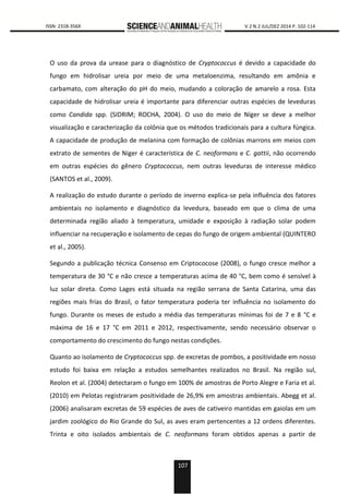 107
0000 ISSN: 2318-356X V.2 N.2 JUL/DEZ 2014 P. 102-114
O uso da prova da urease para o diagnóstico de Cryptococcus é devido a capacidade do
fungo em hidrolisar ureia por meio de uma metaloenzima, resultando em amônia e
carbamato, com alteração do pH do meio, mudando a coloração de amarelo a rosa. Esta
capacidade de hidrolisar ureia é importante para diferenciar outras espécies de leveduras
como Candida spp. (SIDRIM; ROCHA, 2004). O uso do meio de Níger se deve a melhor
visualização e caracterização da colônia que os métodos tradicionais para a cultura fúngica.
A capacidade de produção de melanina com formação de colônias marrons em meios com
extrato de sementes de Niger é característica de C. neoformans e C. gattii, não ocorrendo
em outras espécies do gênero Cryptococcus, nem outras leveduras de interesse médico
(SANTOS et al., 2009).
A realização do estudo durante o período de inverno explica-se pela influência dos fatores
ambientais no isolamento e diagnóstico da levedura, baseado em que o clima de uma
determinada região aliado à temperatura, umidade e exposição à radiação solar podem
influenciar na recuperação e isolamento de cepas do fungo de origem ambiental (QUINTERO
et al., 2005).
Segundo a publicação técnica Consenso em Criptococose (2008), o fungo cresce melhor a
temperatura de 30 °C e não cresce a temperaturas acima de 40 °C, bem como é sensível à
luz solar direta. Como Lages está situada na região serrana de Santa Catarina, uma das
regiões mais frias do Brasil, o fator temperatura poderia ter influência no isolamento do
fungo. Durante os meses de estudo a média das temperaturas mínimas foi de 7 e 8 °C e
máxima de 16 e 17 °C em 2011 e 2012, respectivamente, sendo necessário observar o
comportamento do crescimento do fungo nestas condições.
Quanto ao isolamento de Cryptococcus spp. de excretas de pombos, a positividade em nosso
estudo foi baixa em relação a estudos semelhantes realizados no Brasil. Na região sul,
Reolon et al. (2004) detectaram o fungo em 100% de amostras de Porto Alegre e Faria et al.
(2010) em Pelotas registraram positividade de 26,9% em amostras ambientais. Abegg et al.
(2006) analisaram excretas de 59 espécies de aves de cativeiro mantidas em gaiolas em um
jardim zoológico do Rio Grande do Sul, as aves eram pertencentes a 12 ordens diferentes.
Trinta e oito isolados ambientais de C. neoformans foram obtidos apenas a partir de
 