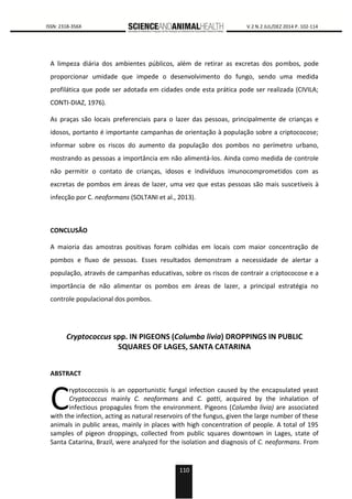 110
0000 ISSN: 2318-356X V.2 N.2 JUL/DEZ 2014 P. 102-114
A limpeza diária dos ambientes públicos, além de retirar as excretas dos pombos, pode
proporcionar umidade que impede o desenvolvimento do fungo, sendo uma medida
profilática que pode ser adotada em cidades onde esta prática pode ser realizada (CIVILA;
CONTI-DIAZ, 1976).
As praças são locais preferenciais para o lazer das pessoas, principalmente de crianças e
idosos, portanto é importante campanhas de orientação à população sobre a criptococose;
informar sobre os riscos do aumento da população dos pombos no perímetro urbano,
mostrando as pessoas a importância em não alimentá-los. Ainda como medida de controle
não permitir o contato de crianças, idosos e indivíduos imunocomprometidos com as
excretas de pombos em áreas de lazer, uma vez que estas pessoas são mais suscetíveis à
infecção por C. neoformans (SOLTANI et al., 2013).
CONCLUSÃO
A maioria das amostras positivas foram colhidas em locais com maior concentração de
pombos e fluxo de pessoas. Esses resultados demonstram a necessidade de alertar a
população, através de campanhas educativas, sobre os riscos de contrair a criptococose e a
importância de não alimentar os pombos em áreas de lazer, a principal estratégia no
controle populacional dos pombos.
Cryptococcus spp. IN PIGEONS (Columba livia) DROPPINGS IN PUBLIC
SQUARES OF LAGES, SANTA CATARINA
ABSTRACT
ryptococcosis is an opportunistic fungal infection caused by the encapsulated yeast
Cryptococcus mainly C. neoformans and C. gatti, acquired by the inhalation of
infectious propagules from the environment. Pigeons (Columba livia) are associated
with the infection, acting as natural reservoirs of the fungus, given the large number of these
animals in public areas, mainly in places with high concentration of people. A total of 195
samples of pigeon droppings, collected from public squares downtown in Lages, state of
Santa Catarina, Brazil, were analyzed for the isolation and diagnosis of C. neoformans. From
C
 