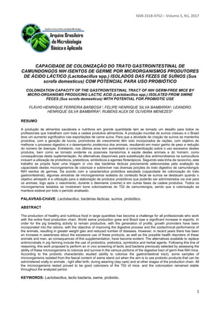 ISSN 2318-4752 – Volume 5, N1, 2017
1
CAPACIDADE DE COLONIZAÇÃO DO TRATO GASTROINTESTINAL DE
CAMUNDONGOS NIH ISENTOS DE GERME POR MICRORGANISMOS PRODUTORES
DE ÁCIDO LÁCTICO (Lactobacillus spp.) ISOLADOS DAS FEZES DE SUÍNOS (Sus
scrofa domesticus) COM POTENCIAL PARA USO PROBIÓTICO
COLONIZATION CAPACITY OF THE GASTROINTESTINAL TRACT OF NIH GERM-FREE MICE BY
MICRO-ORGANISMS PRODUCING LACTIC ACID (Lactobacillus spp.) ISOLATED FROM SWINE
FECES (Sus scrofa domesticus) WITH POTENTIAL FOR PROBIOTIC USE
FLÁVIO HENRIQUE FERREIRA BARBOSA1; FELIPE HENRIQUE SILVA BAMBIRRA2; LEANDRO
HENRIQUE SILVA BAMBIRRA3; RUBENS ALEX DE OLIVEIRA MENEZES4
RESUMO
A produção de alimentos saudáveis e nutritivos em grande quantidade tem se tornado um desafio para todos os
profissionais que trabalham com toda a cadeia produtiva alimentícia. A produção mundial de suínos cresceu e o Brasil
teve um aumento significativo nas exportações de carne suína. Para que a atividade de criação de suínos se mantenha
produtiva, com a geração de lucros, promotores de crescimento têm sido incorporados às rações, com objetivo de
melhorar o processo digestivo e o desempenho zootécnico dos animais, resultando em maior ganho de peso e redução
do número de doenças. Entretanto, nos últimos anos tem aumentado a conscientização sobre o uso excessivo destes
produtos, bem como se tornado evidente os possíveis transtornos à saúde destes animais e do homem, como
consequências desta suplementação. As alternativas disponíveis para substituição dos antimicrobianos na suinocultura
incluem a utilização de probióticos, prebióticos, simbióticos e agentes fitoterápicos. Seguindo esta linha de raciocínio, este
trabalho se propôs fazer uma triagem in vivo das bactérias lácticas previamente selecionadas pela avaliação da
capacidade destes microrganismos de colonizar e sobreviver nas diversas porções do trato digestivo de camundongos
NIH isentos de germes. De acordo com a característica probiótica estudada (capacidade de colonização do trato
gastrointestinal), algumas amostras de microrganismos isolados do conteúdo fecal de suínos se destacam quando o
objetivo almejado é a utilização para a elaboração de produtos probióticos que poderão ser administrados via oral para
os animais, logo após o nascimento, durante o desmame (creche) e em outras fases da cadeia produtiva. Todos os
microrganismos testados se mostraram bons colonizadores do TGI de camundongos, sendo que a colonização se
manteve estável por todo o período analisado.
PALAVRAS-CHAVE: Lactobacillus, bactérias lácticas, suínos, probiótico.
ABSTRACT
The production of healthy and nutritious food in large quantities has become a challenge for all professionals who work
with the entire food production chain. World swine production grew and Brazil saw a significant increase in exports. In
order for the pig breeding activity to remain productive, with the generation of profits, growth promoters have been
incorporated into the rations, with the objective of improving the digestive process and the zootechnical performance of
the animals, resulting in greater weight gain and reduced number of diseases. However, in recent years there has been
an increase in awareness about the excessive use of these products, as well as the possible health disorders of these
animals and man, as consequences of this supplementation, have become evident. The alternatives available to replace
antimicrobials in pig farming include the use of probiotics, prebiotics, symbiotics and herbal agents. Following this line of
reasoning, this work proposed to perform an in vivo screening of lactic acid bacteria previously selected by assessing the
ability of these microorganisms to colonize and survive in the various portions of the digestive tract of germ-free NIH mice.
According to the probiotic characteristic studied (ability to colonize the gastrointestinal tract), some samples of
microorganisms isolated from the faecal content of swine stand out when the aim is to use probiotic products that can be
administered orally to animals , right after birth, during weaning (day care) and at other stages of the production chain. All
the microorganisms tested proved to be good colonizers of the TGI of mice, and the colonization remained stable
throughout the analyzed period.
KEYWORDS: Lactobacillus, lactic bacteria, swine, probiotic.
 