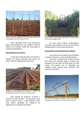 Luiz Andrade/Petroisa

Luiz Andrade/Petroisa

Tubos de PVC são apoiados em pés direito de eucalipto ou
bambu gigante que são fincados na terra.

Trator cafeeiro tracionando pulverizador em lavoura adulta
de tomate em Araguari, MG.

Desta tubulação aérea saem mangueiras
cegas (sem gotejadores), que recebem na ponta
inferior uma emenda, aonde vão conectadas as
mangueiras gotejadoras.

As duas barras laterais pulverizadoras
inclinadas são providas de bicos que são abertos
acompanhando o crescimento das plantas.
MANGUEIRAS GOTEJADORAS MAIS LONGAS

ESPAÇAMENTO DE PLANTIO
A cada duas linhas de plantio de tomate, é
deixado um espaço suficiente para passar um
trator “cafeeiro” adaptado para pulverizar.
Luiz Andrade/Petroisa

Este sistema de montagem leva o produtor
a instalar mangueiras o mais comprido possível.
Caso que o comprimento maximo seja de
120 metros por exemplo, pode-se instalar uma
mangueira de cada lado do tubo aéreo com 120
metros. Isto permite que as tubulações de
múltiplas saídas possam estar distantes 240
metros uma da outra.

Luiz Andrade/Petroisa

Espaçamento diferenciado para facilitar o transito de
equipamento pulverizador entre as linhas de plantio.

Este método de pulverizar, aumenta a
eficiência da mão de obra – menos pessoas para
fazer o mesmo serviço – como também ocorre
uma melhor qualidade de cobertura de
agroquímicos na superfície das folhas.

Fim de uma tubulação de múltiplas saídas. Aqui faltou a
instalação de uma válvula ventosa para maior eficiência.

 