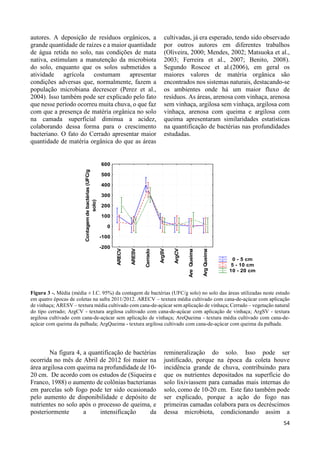 54 
autores. A deposição de resíduos orgânicos, a 
grande quantidade de raízes e a maior quantidade 
de água retida no solo, nas condições de mata 
nativa, estimulam a manutenção da microbiota 
do solo, enquanto que os solos submetidos a 
atividade agrícola costumam apresentar 
condições adversas que, normalmente, fazem a 
população microbiana decrescer (Perez et al., 
2004). Isso também pode ser explicado pelo fato 
que nesse período ocorreu muita chuva, o que faz 
com que a presença de matéria orgânica no solo 
na camada superficial diminua a acidez, 
colaborando dessa forma para o crescimento 
bacteriano. O fato do Cerrado apresentar maior 
quantidade de matéria orgânica do que as áreas 
cultivadas, já era esperado, tendo sido observado 
por outros autores em diferentes trabalhos 
(Oliveira, 2000; Mendes, 2002; Matsuoka et al., 
2003; Ferreira et al., 2007; Benito, 2008). 
Segundo Roscoe et al.(2006), em geral os 
maiores valores de matéria orgânica são 
encontrados nos sistemas naturais, destacando-se 
os ambientes onde há um maior fluxo de 
resíduos. As áreas, arenosa com vinhaça, arenosa 
sem vinhaça, argilosa sem vinhaça, argilosa com 
vinhaça, arenosa com queima e argilosa com 
queima apresentaram similaridades estatísticas 
na quantificação de bactérias nas profundidades 
estudadas. 
0 - 5 cm 
5 - 10 cm 
10 - 20 cm 
600 
500 
400 
300 
200 
100 
0 
Arg Queima-200 
Figura 3 -. Média (média ± I.C. 95%) da contagem de bactérias (UFC/g solo) no solo das áreas utilizadas neste estudo 
em quatro épocas de coletas na safra 2011/2012. ARECV – textura média cultivado com cana-de-açúcar com aplicação 
de vinhaça; ARESV – textura média cultivado com cana-de-açúcar sem aplicação de vinhaça; Cerrado – vegetação natural 
do tipo cerrado; ArgCV - textura argilosa cultivado com cana-de-açúcar com aplicação de vinhaça; ArgSV - textura 
argilosa cultivado com cana-de-açúcar sem aplicação de vinhaça; AreQueima - textura média cultivado com cana-de-açúcar 
com queima da palhada; ArgQueima - textura argilosa cultivado com cana-de-açúcar com queima da palhada. 
Na figura 4, a quantificação de bactérias 
ocorrida no mês de Abril de 2012 foi maior na 
área argilosa com queima na profundidade de 10- 
20 cm. De acordo com os estudos de (Siqueira e 
Franco, 1988) o aumento de colônias bacterianas 
em parcelas sob fogo pode ter sido ocasionado 
pelo aumento de disponibilidade e depósito de 
nutrientes no solo após o processo de queima, e 
posteriormente a intensificação da 
remineralização do solo. Isso pode ser 
justificado, porque na época da coleta houve 
incidência grande de chuva, contribuindo para 
que os nutrientes depositados na superfície do 
solo lixiviassem para camadas mais internas do 
solo, como de 10-20 cm. Este fato também pode 
ser explicado, porque a ação do fogo nas 
primeiras camadas colabora para os decréscimos 
dessa microbiota, condicionando assim a 
ARECV 
ARESV 
Cerrado 
ArgSV 
ArgCV 
Are Queima 
-100 
Contagem de bactérias (UFC/g 
solo) 
 