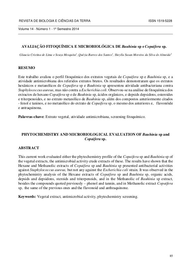 Artigo 339