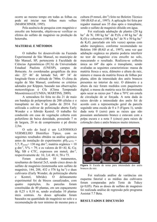 ocorre ao mesmo tempo em todas as folhas ou
pode até iniciar nas folhas mais velhas
(MARSCHNER, 1995).
Pela ausência de pesquisa com magnésio e
enxofre em beterraba, objetivou-se verificar os
efeitos do sulfato de magnésio na produção da
beterraba.
MATERIAL E MÉTODOS
O trabalho foi desenvolvido na Fazenda
Experimental de São Manuel, no município de
São Manuel, SP, pertencente à Faculdade de
Ciências Agronômicas (FCA) da Universidade
Estadual Paulista (UNESP), campus de
Botucatu. As coordenadas geográficas da área
são: 22° 46’ de latitude Sul, 48° 34’ de
longitude Oeste e altitude de 740m. O clima da
região de São Manuel, conforme os critérios
adotados por Köppen, baseado nas observações
meteorológicas é Cfa (Clima Temperado
Mesotérmico) (CUNHA; MARTINS, 2009).
A semeadura foi feita no dia 21 de maio
em bandeja de polipropileno de 200 células e o
transplante no dia 9 de junho de 2014. Foi
utilizada a cultivar de polinização aberta Early
Wonder e o híbrido Kestrel. O trabalho foi
conduzido em casa de vegetação coberta com
polietileno de baixa densidade, possuindo 7 m
de largura, 20 m de comprimento e pé direito
2,5m.
O solo do local é um LATOSSOLO
VERMELHO Distrófico Típico, com os
seguintes resultados obtidos na análise química
antes da instalação do experimento: pH(CaCl2) =
5,7; Presina= 130 mg dm-3
; matéria orgânica = 10
g dm-3
, V% = 79; e os valores de H+Al; K; Ca;
Mg; SB e CTC, expressos em mmolc dm-3
,
respectivamente de: 16; 3,4; 48; 6; 58 e 73.
Foram avaliados 10 tratamentos,
resultantes do fatorial 2x5, sendo cinco doses de
sulfato de magnésio (testemunha sem sulfato de
magnésio, 144, 288, 432 e 576 kg ha-1
) e duas
cultivares (Early Wonder, de polinização aberta
e Kestrel, híbrido). O delineamento
experimental foi de blocos casualizados, com
quatro repetições. As parcelas foram
constituídas de 40 plantas, em um espaçamento
de 0,25 x 0,10 m, sendo avaliadas 10 plantas
úteis centrais. As doses aplicadas foram
baseados na quantidade de magnésio no solo e a
recomendação do teor mínimo do mesmo para a
cultura (9 mmolc dm-3
) feito no Boletim Técnico
100 (RAIJ et al., 1997). A aplicação foi feita por
regador manual aos 35 dias após o transplante,
sendo o sulfato de magnésio diluído em água.
Foi realizada adubação de plantio (20 kg
ha-1
de N; 180 kg ha-1
de P2O5 e 60 kg ha-1
de
K2O) e cobertura (100 kg ha-1
de N e 50 kg ha-1
de K2O, parcelado em três vezes) apenas com
adubo inorgânico, conforme recomendado no
Boletim 100 (RAIJ et al., 1997), uma vez que
adubação orgânica no plantio poderia interferir
no teor de magnésio e/ou enxofre no solo,
mascarando o resultado. Realizou-se colheita
única ao 64º dia após o transplante, sendo
avaliadas as seguintes características: massa da
matéria fresca e seca, diâmetro e altura da raiz,
número e massa da matéria fresca de folhas por
planta, além da intensidade dos anéis brancos
presentes no interior da raiz. O diâmetro e a
altura da raiz foram medidos com paquímetro
digital; a massa da matéria seca foi determinada
após secar as raízes por 7 dias a 70°C em estufa
de circulação de ar forçada. A nota dada às
raízes devido a intensidade dos anéis foi de
acordo com a representação geral da parcela
seguindo uma escala de 0 a 5 (Figura 1), sendo
dada nota 0 (zero) para as raízes que não
possuíam anelamento branco e estavam com a
polpa escura e a nota 5 (cinco) para raízes de
coloração clara e anéis brancos muito intensos.
Figura 1: Escala de notas para intensidade dos anéis
brancos da raiz.
Foi realizada análise de variâncias em
esquema fatorial e as médias das cultivares
foram comparadas pelo Teste de Tukey
(p<0,05). Para as doses de sulfato de magnésio
foi realizada análise de regressão pelo programa
Assistat 7.7 Beta.
RESULTADOS E DISCUSSÃO
 