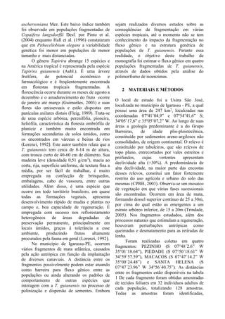 aschersoniana Mez. Este baixo índice também
foi observado em populações fragmentadas de
Copaifera langsdorffii Desf. por Pinto et al.
(2004) enquanto Hall et al. (1996) constataram
que em Pithecellobium elegans a variabilidade
genética foi menor em populações de menor
tamanho e mais distanciadas.
O gênero Tapirira abrange 15 espécies e
na América tropical é representada pela espécie
Tapirira guianensis (Aubl.). É uma árvore
frutífera, de potencial econômico e
farmacológico e é freqüentemente encontrada
em florestas tropicais fragmentadas. A
florescência ocorre durante os meses de agosto a
dezembro e o amadurecimento do fruto ocorre
de janeiro até março (Guimarães, 2003) e suas
flores são unissexuais e estão dispostas em
panículas axilares distais (Fleig, 1989). Trata-se
de uma espécie arbórea, perenifólia, pioneira,
heliófila, característica da floresta ombrófila de
planície e também muito encontrada em
formações secundárias de solos úmidos, como
os encontrados em várzeas e beiras de rios
(Lorenzi, 1992). Este autor também relata que a
T. guianensis tem cerca de 8-14 m de altura,
com tronco curto de 40-60 cm de diâmetro. Sua
madeira leve (densidade 0,51 g/cm3
), macia ao
corte, rija, superfície uniforme, de textura fina a
média, por ser fácil de trabalhar, é muito
empregada na confecção de brinquedos,
embalagens, cabo de vassoura, entre outras
utilidades. Além disso, é uma espécie que
ocorre em todo território brasileiro, em quase
todas as formações vegetais, apresenta
desenvolvimento rápido de mudas e plantas no
campo e, boa capacidade de regeneração. É
empregada com sucesso nos reflorestamento
heterogêneos de áreas degradadas de
preservação permanente, principalmente em
locais úmidos, graças à tolerância a esse
ambiente, produzindo frutos altamente
procurados pela fauna em geral (Lorenzi, 1992).
No município de Igarassu-PE, ocorrem
vários fragmentos de mata atlântica, causados
pela ação antrópica em função da implantação
de diversos canaviais. A distância entre os
fragmentos possivelmente podem estar atuando
como barreira para fluxo gênico entre as
populações ou ainda alterando os padrões de
comportamento de outras espécies que
interagem com a T. guianensis no processo de
polinização e dispersão de sementes. Embora
sejam realizados diversos estudos sobre as
conseqüências da fragmentação em várias
espécies tropicais, até o momento não se tem
conhecimento do impacto da fragmentação no
fluxo gênico e na estrutura genética de
populações de T. guianensis. Perante essa
realidade, o objetivo deste trabalho de
monografia foi estimar o fluxo gênico em quatro
populações fragmentadas de T. guianensis,
através de dados obtidos pela análise do
polimorfismo de isoenzimas.
2 MATERIAIS E MÉTODOS
O local de estudo foi a Usina São José,
localizada no município de Igarassu - PE, a qual
possui uma área de 247 km2
, localizadas nas
coordenadas 07º41’04,9” e 07º54’41,6” S;
34º05’17,6” e 35º05’07,2” W. Ao longo de suas
áreas a geologia predominante é a do Grupo
Barreiras, de idade plio-pleistocênica,
constituído por sedimentos areno-argilosos não
consolidados, de origem continental. O relevo é
constituído por tabuleiros, que são relevos de
topo plano, entrecortados por vales estreitos e
profundos, cujas vertentes apresentam
declividade alta (>30%). A predominância de
alta declividade, na maior parte das encostas
desses relevos, constitui um fator fortemente
restrito do uso agrícola e urbano do solo das
mesmas (CPRH, 2003). Observa-se um mosaico
de vegetação em que várias fases sucessionais
são encontradas. Ocorrem em área de mata,
formando dossel superior contínuo de 25 a 30m,
por cima do qual estão as emergentes a um
estrato arbóreo inferior, de 15 a 20m (Trindade,
2005). Nos fragmentos estudados, além dos
processos naturais que estimulam a regeneração,
houveram perturbações antrópicas como
queimadas e desmatamento para as retiradas de
lenha.
Foram realizadas coletas em quatro
fragmentos: PEZINHO (S 07°48´2.6” W
35°01´18.64”), PIEDADE (S 07°50´18.61” W
34°59`57.59”), MACACOS (S 07°47´14.2” W
35°00´24.48”) e SANTA HELENA (S
07°47´23.96” W 34°56´40.75”). As distâncias
entre os fragmentos estão disponíveis na tabela
1 De cada fragmento foram obtidas amostradas
de tecidos foliares em 32 indivíduos adultos de
cada população, totalizando 128 amostras.
Todas as amostras foram identificadas,
 