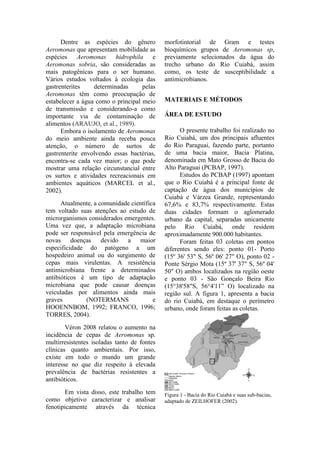 Dentre as espécies do gênero
Aeromonas que apresentam mobilidade as
espécies Aeromonas hidrophila e
Aeromonas sobria, são consideradas as
mais patogênicas para o ser humano.
Vários estudos voltados à ecologia das
gastrenterites determinadas pelas
Aeromonas têm como preocupação de
estabelecer a água como o principal meio
de transmissão e considerando-a como
importante via de contaminação de
alimentos (ARAUJO, et al., 1989).
Embora o isolamento de Aeromonas
do meio ambiente ainda receba pouca
atenção, o número de surtos de
gastrenterite envolvendo essas bactérias,
encontra-se cada vez maior; o que pode
mostrar uma relação circunstancial entre
os surtos e atividades recreacionais em
ambientes aquáticos (MARCEL et al.,
2002).
Atualmente, a comunidade científica
tem voltado suas atenções ao estudo de
microrganismos considerados emergentes.
Uma vez que, a adaptação microbiana
pode ser responsável pela emergência de
novas doenças devido a maior
especificidade do patógeno a um
hospedeiro animal ou do surgimento de
cepas mais virulentas. A resistência
antimicrobiana frente a determinados
antibióticos é um tipo de adaptação
microbiana que pode causar doenças
veiculadas por alimentos ainda mais
graves (NOTERMANS e
HOOENNBOM, 1992; FRANCO, 1996;
TORRES, 2004).
Véron 2008 relatou o aumento na
incidência de cepas de Aeromonas sp.
multirresistentes isoladas tanto de fontes
clínicas quanto ambientais. Por isso,
existe em todo o mundo um grande
interesse no que diz respeito à elevada
prevalência de bactérias resistentes a
antibióticos.
Em vista disso, este trabalho tem
como objetivo caracterizar e analisar
fenotipicamente através da técnica
morfotintorial de Gram e testes
bioquímicos grupos de Aeromonas sp,
previamente selecionados da água do
trecho urbano do Rio Cuiabá, assim
como, os teste de susceptibilidade a
antimicrobianos.
MATERIAIS E MÉTODOS
ÁREA DE ESTUDO
O presente trabalho foi realizado no
Rio Cuiabá, um dos principais afluentes
do Rio Paraguai, fazendo parte, portanto
de uma bacia maior, Bacia Platina,
denominada em Mato Grosso de Bacia do
Alto Paraguai (PCBAP, 1997).
Estudos do PCBAP (1997) apontam
que o Rio Cuiabá é a principal fonte de
captação de água dos municípios de
Cuiabá e Várzea Grande, representando
67,6% e 83,7% respectivamente. Estas
duas cidades formam o aglomerado
urbano da capital, separadas unicamente
pelo Rio Cuiabá, onde residem
aproximadamente 900.000 habitantes.
Foram feitas 03 coletas em pontos
diferentes sendo eles: ponto 01- Porto
(15º 36' 53" S, 56º 06' 27" O), ponto 02 -
Ponte Sérgio Mota (15º 37' 37" S, 56º 04'
50" O) ambos localizados na região oeste
e ponto 03 - São Gonçalo Beira Rio
(15°38'58"S, 56°4'11” O) localizado na
região sul. A figura 1, apresenta a bacia
do rio Cuiabá, em destaque o perímetro
urbano, onde foram feitas as coletas.
Figura 1 - Bacia do Rio Cuiabá e suas sub-bacias,
adaptado de ZEILHOFER (2002).
 