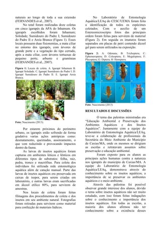 naturais ao longo de toda a sua extensão
(FERNANDES et al., 2007).
No total foram realizadas doze coletas
em cinco igarapés da APA do Inhamum. Os
igarapés escolhidos foram Inhamum;
Soledade; Sumidouro do Padre I; Sumidouro
do Padre II e Areia Branca (Figura 1). Esses
locais possuem duas fisionomias, a mata ciliar
no entorno dos igarapés, com árvores de
grande porte e a vegetação do tipo cerrado,
após a mata ciliar, com árvores tortuosas de
pequeno porte, arbusto e gramíneas
(FERNANDES et al., 2007).
Figura 1: Locais de coleta. A. Igarapé Inhamum B.
Igarapé Soledade. C. Igarapé Sumidouro do Padre I. D.
Igarapé Sumidouro do Padre II. E. Igarapé Areia
Branca.
Foto: Nascimento (2013).
Por estarem próximos do perímetro
urbano, os igarapés estão sofrendo de forma
gradativa varias ações antrópicas como:
desmatamento, queimadas, assoreamento, o
que vem reduzindo e provocando impactos
dentro da fauna.
As larvas de insetos aquáticos foram
capturas em ambientes lóticos e lênticos em
diferentes tipos de substratos: folha, raiz,
pedra, tronco e macrófitas. Para coleta dos
indivíduos foi utilizada rede entomológica
aquática além de catação manual. Parte das
larvas de insetos aquáticos era preservada em
caixas de isopor, para serem criadas em
laboratório, e outras larvas eram sacrificadas
em álcool etílico 80%, para servirem de
amostras.
Nos locais de coleta foram feitas
filmagens dos procedimentos de coleta e dos
insetos em seu ambiente natural. Fotografias
foram retiradas para servirem como material
para confecção de materiais lúdicos.
No Laboratório de Entomologia
Aquática/LEAq do CESC/UEMA foram feita
a identificação de todos os espécimes
coletados. Com o auxilio de um
Estereomicroscópio fotos das principais
ordem foram feitas para servirem de material
(Figura 2). Em seguida os imaturos foram
separados em placas de petri contendo álcool
gel para serem utilizados na exposição.
Figura 2: A: Odonata; B: Trichoptera; C:
Ephemeroptera; D: Coleoptera; E: Megaloptera; F:
Plecoptera; G: Diptera; H: Hemiptera.
Foto: Nascimento (2013)
RESULTADOS E DISCUSSÕES
O tema das palestras ministradas era
“Educação Ambiental e Preservação dos
Ambientes Aquáticos e dos Insetos
Aquáticos”. Juntamente com a equipe do
Laboratório de Entomologia Aquática/LEAq,
teve-se a colaboração de profissionais da
Secretária do Meio Ambiente do Município
de Caxias/MA, onde os mesmos se dirigiam
as escolas e retratavam assuntos sobre
preservação e educação ambiental.
Foram exposto para os alunos as
principais ações humanas contra a natureza
nos igarapés do município de Caxias/MA. A
equipe do Laboratório de Entomologia
Aquática/LEAq, demonstrava através do
conhecimento sobre os insetos aquáticos, a
importância de se preservar os ambientes
aquáticos e o meio ambiente.
Através das palestras foi possível
observar grande interesse dos alunos, devido
o tema sobre insetos aquáticos não ser muito
estudado, com isso foram feitas indagações
sobre o conhecimento e importância dos
insetos aquáticos. Em todas as escolas, a
maioria dos alunos afirmou não ter
conhecimento sobre a existência desses
 