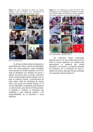 Figura 4: A-D: Exposição de larvas de insetos
aquáticos vivos em aquários. E-F. Visualização da
morfologia dos insetos com auxilio de uma lupa.
Foto: Almeida (2013).
As oficinas tinham intuito de despertar a
curiosidade dos alunos, através da ludicidade.
Para isso foram propostas várias atividades
como pinturas de insetos aquáticos em EVA;
imãs de geladeiras nos formatos de larvas e
adultos de insetos para os alunos colorirem;
foram confeccionados quebra-cabeças com os
para se conhecer formas e características de
cada ordem, além de miniaturas de insetos
feitas com massa de modelar (Figura 5). O
uso da ludicidade é importante para despertar
o conhecimento, pois através do brincar pode-
se aprender e conhecer os elementos que
compõem o meio ambiente aquático e da
responsabilidade de se preservar o meio
ambiente.
Figura 5: A-C: Pinturas de insetos em EVA. D-F:
Confecção de imãs de geladeira no formato de insetos.
G-H: Quebra-cabeça no formato de insetos aquáticos.
J-M: Insetos aquáticos feito de massa de modelar.
Foto: Nascimento; Almeida (2013).
No minicurso foram ministradas
palestras para se ter um conhecimento prévio
sobre os insetos aquáticos, em seguida eram
apresentados os materiais que seriam
utilizados e as técnicas. A proposta principal
do minicurso era a confecção de larvas e
adultos de insetos, para que fossem utilizados
em exposições futuras (Figura 6).
 