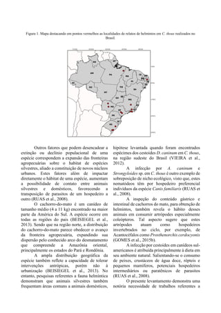 Figura 1. Mapa destacando em pontos vermelhos as localidades de relatos de helmintos em C. thous realizados no
Brasil.
Outros fatores que podem desencadear a
extinção ou declínio populacional de uma
espécie correspondem a expansão das fronteiras
agropecuárias sobre o habitat de espécies
silvestres, aliado a constituição de novos núcleos
urbanos. Estes fatores além de impactar
diretamente o hábitat de uma espécie, aumentam
a possibilidade de contato entre animais
silvestres e domésticos, favorecendo a
transposição de parasitos de um hospedeiro a
outro (RUAS et al., 2008).
O cachorro-do-mato é um canídeo de
tamanho médio (4 a 11 kg) encontrado na maior
parte da América do Sul. A espécie ocorre em
todas as regiões do pais (BEISIEGEL et al.,
2013). Sendo que na região norte, a distribuição
do cachorro-do-mato parece obedecer o avanço
da fronteira agropecuária, expandindo sua
dispersão pelo conhecido arco do desmatamento
que compreende a Amazônia oriental,
principalmente os estados do Pará e Rondônia.
A ampla distribuição geográfica da
espécie também reflete a capacidade de tolerar
intervenções antrópicas, porém não à
urbanização (BEISIEGEL et al., 2013). No
entanto, pesquisas referentes a fauna helmíntica
demonstram que animais silvestres também
frequentam áreas comuns a animais domésticos,
hipótese levantada quando foram encontrados
espécimes dos cestoides D. caninum em C. thous,
na região sudeste do Brasil (VIEIRA et al.,
2012).
A infecção por A. caninum e
Strongyloides sp. em C. thous é outro exemplo de
sobreposição de nicho ecológico, visto que, estes
nematódeos têm por hospedeiro preferencial
indivíduos da espécie Canis familiaris (RUAS et
al., 2008).
A inspeção do conteúdo gástrico e
intestinal de cachorros do mato, para obtenção de
helmintos, também revela o hábito desses
animais em consumir artrópodes especialmente
coleópteros. Tal aspecto sugere que estes
artrópodes atuam como hospedeiros
invertebrados no ciclo, por exemplo, de
Acantocéfalos como Prosthenorchis cerdocyonis
(GOMES et al., 2015b).
A infecção por cestoides em canídeos sul-
americanos é atribuída principalmente à dieta em
seu ambiente natural. Salientando-se o consumo
de peixes, crustáceos de água doce, répteis e
pequenos mamíferos, potenciais hospedeiros
intermediários ou paratênicos de parasitos
(RUAS et al., 2008).
O presente levantamento demonstra uma
notória necessidade de trabalhos referentes a
 