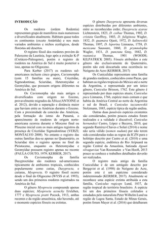 INTRODUÇÃO
Os roedores (ordem Rodentia)
representam grupo de mamíferos mais numerosos
e diversificados atualmente. Habitam quase todos
os continentes (exceto Antártida) e nos mais
variados ambientes e nichos ecológicos, desde
florestas até desertos.
O registro fóssil dos roedores provém do
Paleoceno da Laurásia, logo após a extinção K-P
(Cretáceo-Paleogeno), porém o registro de
roedores na América do Sul é muito posterior a
isso, apenas no Oligoceno.
Para Kerber (2017) os roedores sul-
americanos incluem cinco grupos, Caviomorpha
(com 15 famílias ou mais), Cricetidae,
Sigmodontinae, Sciuridae, Heteromyidae e
Geomyidae, que possuem origens diferentes na
América do Sul.
Os Caviomorpha são mais antigos e
diversificados com origem no Eoceno,
provavelmente migrados da África (ANTOINE et
al. 2012), devido a separação e distância maior
que haviam entre as Américas durante o Eoceno.
Com a proximidade da conexão das Américas,
pela formação do istmo do Panamá, o
aparecimento de roedores de origem norte-
americana ocorreu durante o Mioceno final ou
Plioceno inicial com os mais antigos registros da
presença de Cricetidae Sigmodontinae (VERZI;
MONTALVO 2008). No entanto o registro das
outras famílias deu-se apenas no Quaternário, os
Sciuridae têm o registro apenas no final do
Pleistoceno, enquanto os Heteromyidae e
Geomyidae possuem registro apenas no recente
(PAULA COUTO, 1979; KERBER, 2017).
Os Caviomorpha da família
Dasyproctidae são roedores sul-americanos
típicamente de ambientes tropicais, conhecidos
popularmente como cutias, Dasyprocta, e
cutiaras, Myoprocta. O registro fóssil ocorre
desde o final do Oligoceno (WYSS et al. 1993),
sendo um dos primeiros roedores registrados na
América do Sul.
O gênero Myoprocta compreende apenas
duas espécies; Myoprocta acouchy Erxleben,
1777 e Myoprocta pratti Pocock, 1913, ambas
recentes e da região amazônica, não havendo, até
o momento espécies fósseis ou extintas.
O gênero Dasyprocta apresenta diversas
espécies distribuídas por diferentes ambientes,
entre as reconhecidas estão; Dasyprocta azarae
Lichtenstein, 1823, D. coibae Thomas, 1902, D.
cristata Geoffroy, 1803, D. fuliginosa Wagler,
1832, D. guamara Ojasti, 1972, D. kalinowskii
Thomas, 1897, D. leporina Linnaeus, 1758, D.
mexicana Saussure, 1860, D. prymnolopha
Wagler, 1831, D. punctata Gray, 1842, D.
ruatanica Thomas, 1901 (WOODS;
KILPATRICK 2005). Fósseis atribuídos a este
gênero são exclusivamente do Quaternário,
porém não está descartada uma ocorrência no
Neógeno do Acre (KERBER, 2017)
Os Cuniculidae representam uma família
de grandes roedores, conhecidos como Pacas, que
habitam as regiões tropicais do México até o norte
da Argentina, e representada por um único
gênero, Cuniculus Brisson, 1762. Este gênero é
representado por duas espécies atuais; Cuniculus
paca Linnaeus, 1766, espécie mais comum e que
habita da América Central ao norte da Argentina
e sul do Brasil, e Cuniculus taczanowskii
Stolzmann, 1885, espécie típica da região andina.
Outras duas possíveis espécies existentes
são consideradas, porém poucos estudos foram
realizados e a validade é discutível; Cuniculus
hernandezi Castro, López e Becerra, 2010, que
segundo Ramírez-Chaves e Solari (2014) o nome
não seria válido (nomen nudum) por não terem
sido consideradas todas as regras da ICZN para o
holótipo descrito por Castro et al. (2010) e uma
segunda espécie, endêmica do Rio Aripuanã na
região Central da Amazônia, batizada Agouti
silvagarciae Van Roosmalen e Van Hooft, 2013
pouco se conhece e trabalhos detalhados deverão
ser realizados.
O registro mais antigo da família
Cuniculidae é de um astrágalo descrito por
Bergqvist et al. (1998) do Neógeno do Acre,
porém este é um espécime considerado
indeterminado (KERBER, 2017). Atualmente se
reconhece uma espécie extinta atribuída a esta
família, Cuniculus rugiceps Lund, 1837, da
região tropical do território brasileiro. A espécie
foi um dos primeiros fósseis coletados e
estudados pelo naturalista Peter Wilhelm Lund na
região de Lagoa Santa, Estado de Minas Gerais,
porém foram Mayer et al. (2016) que detalharam
 