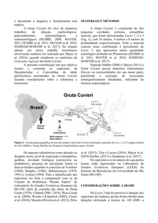e discutiram a diagnose e formalizaram esta
espécie.
A Gruta Cuvieri foi alvo de inúmeros
trabalhos de datação, espeleológicos,
paleoambientais, paleontológicos e
sedimentológicos (HUBBE, 2008, MAYER,
2011; HUBBE et al. 2011; MAYER et al. 2016;
HADDAD-MARTIM et al. 2017). No entanto
apenas um único trabalho taxonômico
envolvendo roedores foi realizado por Mayer et
al. (2016), quando estudaram os espécimes de
Cuniculus rugiceps da Gruta Cuvieri.
A presente contribuição tem por objetivo
ilustrar e comentar os espécimes de
Dasyproctidae e Cuniculidae de idade
pleistocênica encontrados na Gruta Cuvieri
fazendo considerações sobre a tafonomia e
taxonomia.
MATERIAIS E MÉTODOS
A Gruta Cuvieri é constituída de três
pequenas cavidades verticais, armadilhas
naturais, que foram denominadas Locus 1, 2 e 3
(Fig. 1), com 16 metros, 4 metros e 8 metros de
profundidade respectivamente. Todo o material
exposto nesta contribuição é proveniente do
Locus 3, que apresentou maior quantidade
osteológico atribuído ao Pleistoceno (HUBBE et
al. 2011; MAYER et al. 2016; HADDAD-
MARTIM et al. 2017).
Segundo Hubbe (2008) e Mayer (2011) a
Gruta Cuvieri possui depósitos sedimentares
friáveis ou inconsolidados em sua maior parte,
permitindo a execução de escavações
estratigraficamente detalhadas, utilizando de
técnicas arqueológicas.
Figura 1 - Localização geográfica da área de estudo e da Gruta Cuvieri mostrando a posição do Loci 1, 2 e 3 (mapa cortesia
de Alex Hubbe e Grupo Bambuí de Pesquisas Espeleológicas para o Leeh).
Os aspectos tafonômicos como abrasão ou
desgaste ósseo, nível de exposição a intempéries,
quebras, atividade biológica (carniceiros ou
predadores), presença de articulação foram os
itens avaliados seguindo os conceitos de Voorhies
(1969), Badgley (1986), Behrensmeyer (1978;
1991) e Lyman (1994). Para a identificação dos
espécimes foi feita a comparação com os da
Coleção de Referência “Renato Kipnis” do
Laboratório de Estudos Evolutivos Humanos do
IB-USP, além de consulta das obras de Paula
Couto (1979), Chahud (2001; 2019), Ríos-Uzeda
et al. (2004), Woods e Kilpatrick (2005), Castro
et al. (2010), Mendes-Oliveira et al. (2012), Silva
et al. (2013), Teta e Lucero (2016), Mayer et al.
(2016) Kerber, (2017) e Sundaram et al. (2017).
Os espécimes e o inventário de suas partes
ósseas estão depositados no Laboratório de
Estudos Evolutivos Humanos (LEEH) do
Instituto de Biociências da Universidade de São
Paulo (IB-USP).
CONSIDERAÇÕES SOBRE A IDADE
No Locus 3 não foi possível a datação dos
espécimes de roedores, porém foram obtidas duas
datações utilizando a técnica de 14C-AMS; a
 