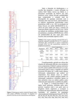 Figura 1. Dendrograma usando o método de ligação média
entre grupos (UPGMA) envolvendo 76 progênies de
açaizeiro com base em três características morfológicas.
Após a obtenção do dendrograma e a
escolha das progênies a serem utilizadas na
análise GGE biplot, tem-se na Tabela 2, o
percentual acumulado de 88,87% nos dois
primeiros eixos, inferiu elevada confiabilidade
para compreender a variação total do
desempenho do genótipo associado com a
interação entre anos (G+GxA), aproximando-se
as espécies amplamente domesticadas como
pimenteiras (ABU et al., 2011 na produção de
frutos frescos; em melão (DEHGHANI et al.,
2012) em peso médio por fruto e número de
frutos por planta; cajueiros (ALIYU et al., 2014)
em número de amêndoas, produtividade e peso
de amêndoas e; mandioca (PEPRAH et al., 2016)
em produtividade de raiz, cujos dois eixos
tiveram valor acumulado superior a 89%.
Tabela 2. Valor singular, proporção explicada (PE) em %,
proporção explicada acumulada (PA) em % e relação de
informação (RI), considerando os quatros componentes
principais (PCs), em três características conjuntas de
progênies de açaizeiros.
Eixos Componentes
Parâmetros PC1 PC2 PC3 PC4 PC5
Valor
Singular
0,66 0,31 0,17 0,15 0,13
PE %
72,67 16,20 4,50 3,92 2,71
PA %
72,67 88,87 93,37 97,29 100,00
RI 3,63 0,81 0,23 0,20 0,14
Complementando, apoiado nos valores das
relações de informação (RI) dos cinco primeiros
eixos componentes (Tabela 2), apenas o primeiro
eixo PC conteve padrão (RI acima de 1), ou seja,
associações entre os anos, o segundo eixo apesar
de possuir IR abaixo de 1, pode conter alguma
informação independente, que podem ser
importantes. Nos demais eixos os valores
mostram que não contêm qualquer padrão ou
informação, podendo-se considerar apenas os
dois primeiros eixos na análise gráfica como
suficiente para representar os padrões dos dados.
A Figura 2 (“which-won-where”) dos
dados multi ambientes, definidos pelos anos,
permite visualizar onde e em quais anos as
progênies foram superiores e averiguar a
existência de mega-ambientes diferentes em uma
localidade. As progênies da população
selecionadas pelo dendrograma foram P1, P2, P3,
P4, P5, P6, P7, P8, P9, P10, P11, P12, P14, P18,
P21, P22, P24, P25, P26, P29, P33, P34, P35,
 