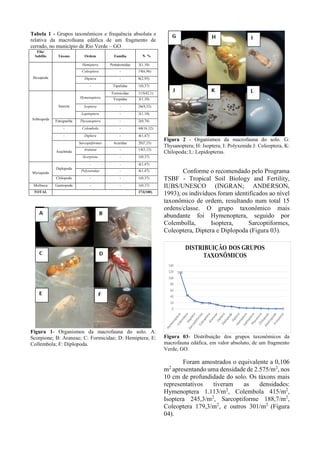 Tabela 1 - Grupos taxonômicos e frequência absoluta e
relativa da macrofauna edáfica de um fragmento de
cerrado, no município de Rio Verde – GO
Filo/
Subfilo Táxons Ordem Família N. %
Hexapoda
Hemiptera Pentatomidae 3(1,10)
Coleoptera - 19(6,96)
Diptera - 8(2,93)
- Tipulidae 1(0,37)
Arthropoda
Insecta
Hymenoptera
Formicidae 115(42,1)
Vespidae 3(1,10)
Isoptera - 26(9,52)
Lepitoptera - 3(1,10)
Entognatha Thysanoptera - 2(0,74)
- Colembola - 44(16,12)
- Diplura - 4(1,47)
Arachnida
Sarcoptiformes Acaridae 20)7,33)
Araneae - 14(5,13)
Scorpione - 1(0,37)
Myriapoda
Diplopoda
- - 4(1,47)
Polyxenidae - 4(1,47)
Chilopoda - - 1(0,37)
Mollusca Gastropoda - - 1(0,37)
TOTAL 273(100)
Figura 1- Organismos da macrofauna do solo. A:
Scorpione; B: Araneae; C: Formicidae; D: Hemiptera; E:
Collembola; F: Diplopoda.
Figura 2 - Organismos da macrofauna do solo. G:
Thysanoptera; H: Isoptera; I: Polyxenida J: Coleoptera, K:
Chilopoda; L: Lepidopteras.
Conforme o recomendado pelo Programa
TSBF - Tropical Soil Biology and Fertility,
IUBS/UNESCO (INGRAN; ANDERSON,
1993), os indivíduos foram identificados ao nível
taxonômico de ordem, resultando num total 15
ordens/classe. O grupo taxonômico mais
abundante foi Hymenoptera, seguido por
Colembolla, Isoptera, Sarcoptiformes,
Coleoptera, Diptera e Diplopoda (Figura 03).
Figura 03- Distribuição dos grupos taxonômicos da
macrofauna edáfica, em valor absoluto, de um fragmento
Verde, GO.
Foram amostrados o equivalente a 0,106
m2
apresentando uma densidade de 2.575/m2
, nos
10 cm de profundidade do solo. Os táxons mais
representativos tiveram as densidades:
Hymenoptera 1.113/m2
, Colembola 415/m2
,
Isoptera 245,3/m2
, Sarcoptiforme 188,7/m2
,
Coleoptera 179,3/m2
, e outros 301/m2
(Figura
04).
 