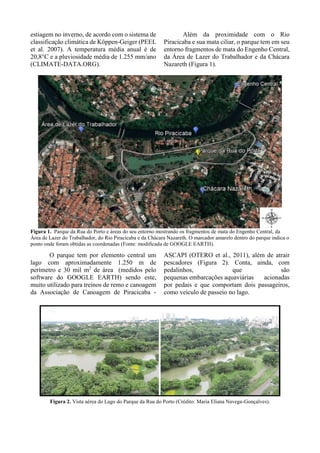 estiagem no inverno, de acordo com o sistema de
classificação climática de Köppen-Geiger (PEEL
et al. 2007). A temperatura média anual é de
20,8°C e a pluviosidade média de 1.255 mm/ano
(CLIMATE-DATA.ORG).
Além da proximidade com o Rio
Piracicaba e sua mata ciliar, o parque tem em seu
entorno fragmentos de mata do Engenho Central,
da Área de Lazer do Trabalhador e da Chácara
Nazareth (Figura 1).
Figura 1. Parque da Rua do Porto e áreas do seu entorno mostrando os fragmentos de mata do Engenho Central, da
Área de Lazer do Trabalhador, do Rio Piracicaba e da Chácara Nazareth. O marcador amarelo dentro do parque indica o
ponto onde foram obtidas as coordenadas (Fonte: modificada de GOOGLE EARTH).
O parque tem por elemento central um
lago com aproximadamente 1.250 m de
perímetro e 30 mil m2
de área (medidos pelo
software do GOOGLE EARTH) sendo este,
muito utilizado para treinos de remo e canoagem
da Associação de Canoagem de Piracicaba -
ASCAPI (OTERO et al., 2011), além de atrair
pescadores (Figura 2). Conta, ainda, com
pedalinhos, que são
pequenas embarcações aquaviárias acionadas
por pedais e que comportam dois passageiros,
como veículo de passeio no lago.
Figura 2. Vista aérea do Lago do Parque da Rua do Porto (Crédito: Maria Eliana Navega-Gonçalves).
 