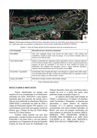 Figura 3. Delimitação do Parque da Rua do Porto, indicando os locais de: mata (MA), áreas abertas (AA) e o lago (LA).
Ac - indica área onde se encontram as academias ao ar livre (Fonte: modificada de GOOGLE EARTH).
Quadro 1- Áreas do Parque da Rua do Porto indicando locais de avistamento das aves
Área do parque Descrição da área e locais de avistamento
Mata (MA) Área com vegetação densa, com árvores de maior porte e solo coberto por
serapilheira, situada na parte Leste do parque. As aves foram avistadas sobre as
árvores ou no chão da mata.
Áreas abertas (AA) Espaços constituídos de vegetação rasteira (gramínea), árvores e arbustos esparsos.
As aves foram avistadas sobre a vegetação arbustiva ou sobre a grama presentes nas
margens da pista de caminhada e nos locais de lazer; também em postes de
iluminação, fios, telhados dos quiosques, cercas e outros materiais antrópicos.
Algumas foram identificadas através de registro sonoro (RS).
Área úmida – Lago (LA): Corresponde à área ocupada pelo lago e suas margens e o espaço aéreo sobre a água.
Aves avistadas dentro do lago, no banco de areia dentro dele, na vegetação ou outro
local de suas margens ou sobrevoando o mesmo.
Espaço aéreo (EA): Indivíduos avistados somente sobrevoando o parque.
Fonte: Elaborado pelas autoras.
RESULTADOS E DISCUSSÃO
Foram identificadas no parque cem
espécies de aves considerando os levantamentos
realizados em 2016, 2018-2019 e uma espécie
registrada após este período. De acordo com a
lista de aves publicada na plataforma WikiAves
(2008-2020) e consultada em julho de 2020, a
cidade de Piracicaba registra 365 espécies e ao
confrontarmos nossa lista com aquela, é possível
afirmar que o Parque da Rua do Porto abriga
cerca de 27% dessa riqueza.
Embora esteja inserido em uma área
urbanizada, o parque localiza-se próximo ao Rio
Piracicaba e sua mata ciliar e, em seu entorno,
encontram-se os fragmentos de mata do Engenho
Central, da Área de Lazer do Trabalhador e da
Chácara Nazareth, locais que contribuem para a
atração de aves e, a partir dos quais, estas
poderiam chegar ao parque (Figura 1).
As espécies observadas estão listadas na
Tabela 1 e pertencem a 15 ordens e 36 famílias,
sendo Tyrannidae e Thraupidae as famílias que
apresentam o maior número de espécies
avistadas, 15 e 13 espécies, respectivamente,
corroborando com outros estudos realizados, no
Brasil, com aves em parques localizados em
áreas urbanas ou próximas às mesmas (KRUL;
MORAES, 1993; FRANCHIN; MARÇAL
JÚNIOR, 2004; SCHERER et al., 2005, 2010;
VALADÃO et al., 2006 (a,b); BONANÇA;
BEIG 2010; SILVA; CARREGARO, 2012).
 