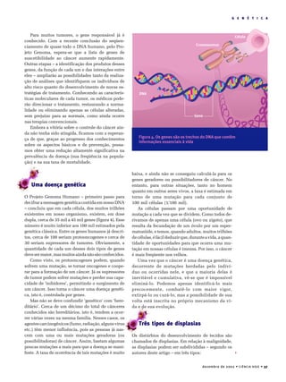 dezembro de 2002 • CIÊNCIA HOJE • 37
G E N É T I C A
Para muitos tumores, o gene responsável já é
conhecido. Com a recente conclusão do seqüen-
ciamento de quase todo o DNA humano, pelo Pro-
jeto Genoma, espera-se que a lista de genes de
suscetibilidade ao câncer aumente rapidamente.
Outras etapas – a identificação dos produtos desses
genes, da função de cada um e das interações entre
eles – ampliarão as possibilidades tanto da realiza-
ção de análises que identifiquem os indivíduos de
alto risco quanto do desenvolvimento de novas es-
tratégias de tratamento. Conhecendo as caracterís-
ticas moleculares de cada tumor, os médicos pode-
rão direcionar o tratamento, restaurando a norma-
lidade ou eliminando apenas as células alteradas,
sem prejuízo para as normais, como ainda ocorre
nas terapias convencionais.
Embora a vitória sobre o controle do câncer ain-
da não tenha sido atingida, ficamos com a esperan-
ça de que, graças ao progresso dos conhecimentos
sobre os aspectos básicos e de prevenção, possa-
mos obter uma redução altamente significativa na
prevalência da doença (sua freqüência na popula-
ção) e na sua taxa de mortalidade.
Uma doença genética
O Projeto Genoma Humano – primeiro passo para
decifraramensagemgenéticacontidaemnossoDNA
– concluiu que em cada célula, dos muitos trilhões
existentes em nosso organismo, existem, em dose
dupla, cerca de 35 mil a 45 mil genes (figura 4). Esse
número é muito inferior aos 100 mil estimados pela
genética clássica. Entre os genes humanos já descri-
tos, cerca de 100 seriam protooncogenes e cerca de
30 seriam supressores de tumores. Obviamente, a
quantidade de cada um desses dois tipos de genes
devesermaior,masmuitosaindanãosãoconhecidos.
Como visto, os protooncogenes podem, quando
sofrem uma mutação, se tornar oncogenes e coope-
rar para a formação de um câncer. Já os supressores
de tumor podem sofrer mutações e perder sua capa-
cidade de ‘inibidores’, permitindo o surgimento de
um câncer. Isso torna o câncer uma doença genéti-
ca, isto é, controlada por genes.
Mas não se deve confundir ‘genético’ com ‘here-
ditário’. Cerca de um décimo do total de cânceres
conhecidos são hereditários, isto é, tendem a ocor-
rer várias vezes na mesma família. Nesses casos, os
agentescarcinogênicos(fumo,radiação,algunsvírus
etc.) têm menor influência, pois as pessoas já nas-
cem com uma ou mais mutações geradoras (ou
possibilitadoras) de câncer. Assim, bastam algumas
poucas mutações a mais para que a doença se mani-
feste. A taxa de ocorrência de tais mutações é muito
baixa, e ainda não se conseguiu calculá-la para os
genes geradores ou possibilitadores de câncer. No
entanto, para outras situações, tanto no homem
quanto em outros seres vivos, a taxa é estimada em
torno de uma mutação para cada conjunto de
100 mil células (1/100 mil).
As células passam por uma oportunidade de
mutação a cada vez que se dividem. Como todos de-
rivamos de apenas uma célula (ovo ou zigoto), que
resulta da fecundação de um óvulo por um esper-
matozóide, e temos, quando adultos, muitos trilhões
decélulas,éfácildeduzirque,duranteavida,aquan-
tidade de oportunidades para que ocorra uma mu-
tação em nossas células é imensa. Por isso, o câncer
é mais freqüente nos velhos.
Uma vez que o câncer é uma doença genética,
decorrente de mutações herdadas pelo indiví-
duo ou ocorridas nele, e que a maioria delas é
inevitável e cumulativa, vê-se que é impossível
eliminá-lo. Podemos apenas identificá-lo mais
precocemente, combatê-lo com maior vigor,
extirpá-lo ou curá-lo, mas a possibilidade de sua
volta está inscrita no próprio mecanismo da vi-
da e de sua evolução.
Três tipos de displasias
Os distúrbios do desenvolvimento de tecidos são
chamados de displasias. Em relação à malignidade,
as displasias podem ser subdivididas – segundo os
autores deste artigo – em três tipos:
DNA
Cromossomos
Célula
Gene
Figura 4. Os genes são os trechos do DNA que contêm
informações essenciais à vida
 
