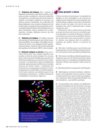 38 • CIÊNCIA HOJE • vol. 32 • nº 189
G E N É T I C A
1 Displasias não-malignas. São a maioria. As
displasias ectodérmicas, que afetam os pêlos, a den-
tição, as unhas, a sudação etc., são muito conhecidas
(o ectoderma é a camada mais externa de células no
embrião, e dá origem à epiderme, às mucosas e ao
sistema nervoso). Atualmente, são conhecidas 192
dessasdisplasias,comoconstatouobioquímicoToni
Lisboa-Costa, em pesquisa de pós-graduação na Uni-
versidadeFederaldoParaná.Essasdisplasiassão,em
geral, hereditárias. Outros exemplos são os calos,
manchas e verrugas, displasias comuns e por isso
bem conhecidas.
2 Displasias pré-malignas. Os pólipos (tumores
das mucosas) do intestino grosso, que ocorrem na po-
lipose hereditária, são exemplos. Tais pólipos são pre-
cursores de câncer, e sua extirpação evitará o apareci-
mento da doença. A lesão do colo do útero produzida
pelo papiloma-vírus humano (HPV) é outro exemplo.
3 Displasias malignas ou cânceres. Nesse caso, a
célula inicial sofre uma mutação específica que,
somada ao efeito de outras mutações, faz com que
percaoritmonormaldemultiplicação,passandoase
dividirmaisrápidodoqueonormal.Forma-se,então,
um tumor, e as células deste, além da multiplicação
acelerada, apresentam graves defeitos em uma etapa
essencial da divisão celular: a duplicação dos
cromossomos e sua separação em números e conteú-
dos iguais para as células-filhas. As células integran-
tes do tumor, portanto, são anômalas quanto à sua
constituição cromossômica – condição chamada de
‘instabilidade cromossômica’ (figura 5).
Como prevenir o câncer
O ideal, em termos de prevenção, é a descoberta da
displasia na fase pré-maligna ou de tumores em
estágios iniciais, seguida de sua total extirpação. Isso
é possível hoje em alguns casos (câncer do intestino
grosso, da pele, da mama e do colo do útero, por
exemplo), mas ainda é impensável para a imensa
maioria dos casos.
Infelizmente, todo o conhecimento atual sobre
as causas do câncer não trouxe os resultados prá-
ticos desejados no sentido de diminuir a freqüên-
cia da doença ou sua taxa de mortalidade. O pouco
que se sabe sobre essas causas permite, no entan-
to, elaborar uma pequena lista de conselhos e
sugestões que podem reduzir a ocorrência da
doença:
a Não fume. Acredita-se que o uso do tabaco seja
responsável por cerca de 50% das mortes por câncer.
Se você é fumante, deixe esse hábito imediatamente.
b Evitecarnesvermelhasesubstânciasgordurosas.
Suspeita-se que cerca de 10% das mortes por câncer
possam ocorrer em conseqüência da ingestão desses
alimentos. Prefira comer legumes, frutas, frutos do
mar etc.
c Nãoabusedoálcool,emespecialsevocêéfumante.
d Radiologistas (incluindo dentistas), radiotera-
peutas e seus assistentes e técnicos devem se expor
o mínimo possível aos raios X usados para diagnós-
tico e tratamento. Raios X têm grande utilidade, mas
são oncogênicos, o que justifica a proteção.
e Os especialistas vêm notando um significativo
aumento na freqüência do câncer de pele, cuja causa
principal parece ser o excesso de exposição ao Sol,
principalmente em certas horas do dia. Evite, sem
exceções, banhos de sol entre 10 h e 16 h, período do
diaemquearadiaçãoultravioletavindadoSolémais
intensa. Os filtros solares devem ser usados mesmo
em dias não ensolarados e, por pessoas de pele clara,
até dentro de casa. Um fator que vem aumentando o
potencial cancerígeno da radiação ultravioleta é a
redução, causada por gases industriais, da espessura
da chamada camada de ozônio. Essa camada fica na
estratosfera, a dezenas de quilômetros de altura, e
protege os seres vivos contra a radiação ultravioleta.
O ozônio (O3
) – que tem três átomos de oxigênio em
sua molécula, em vez de dois, como no oxigênio
comum (O2
) — é capaz de absorver essa radiação,
evitando que chegue à superfície da Terra, mas sua
destruição pelos gases industriais enfraquece essa
proteção.
Figura 5. Em uma célula cancerosa que
apresenta alterações cromossômicas,
estas são visualizadas por trocas de cores
nos cromossomos (marcados antes
com cores bem definidas)
 